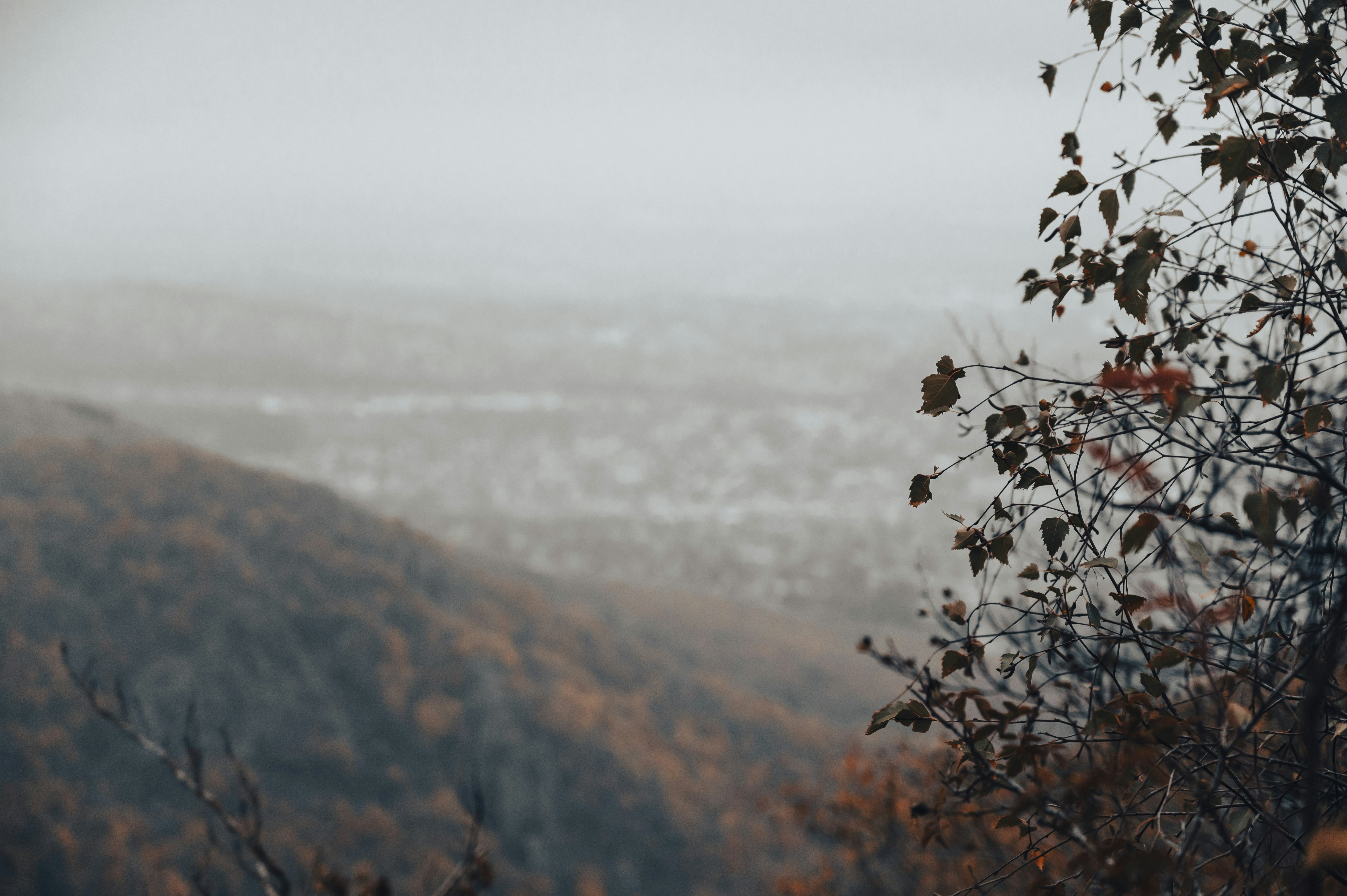 Photo by iso_excited