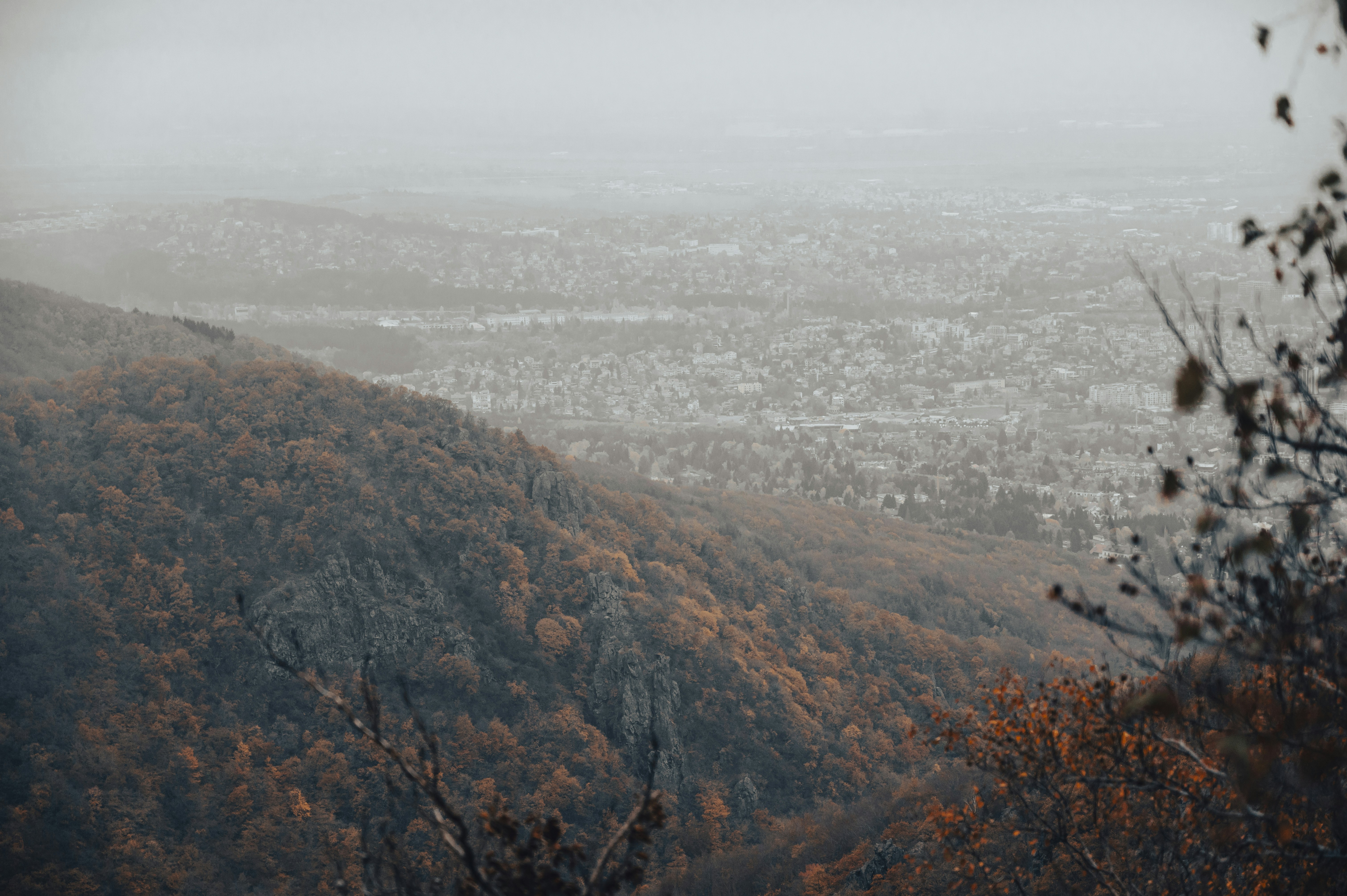 Photo by iso_excited