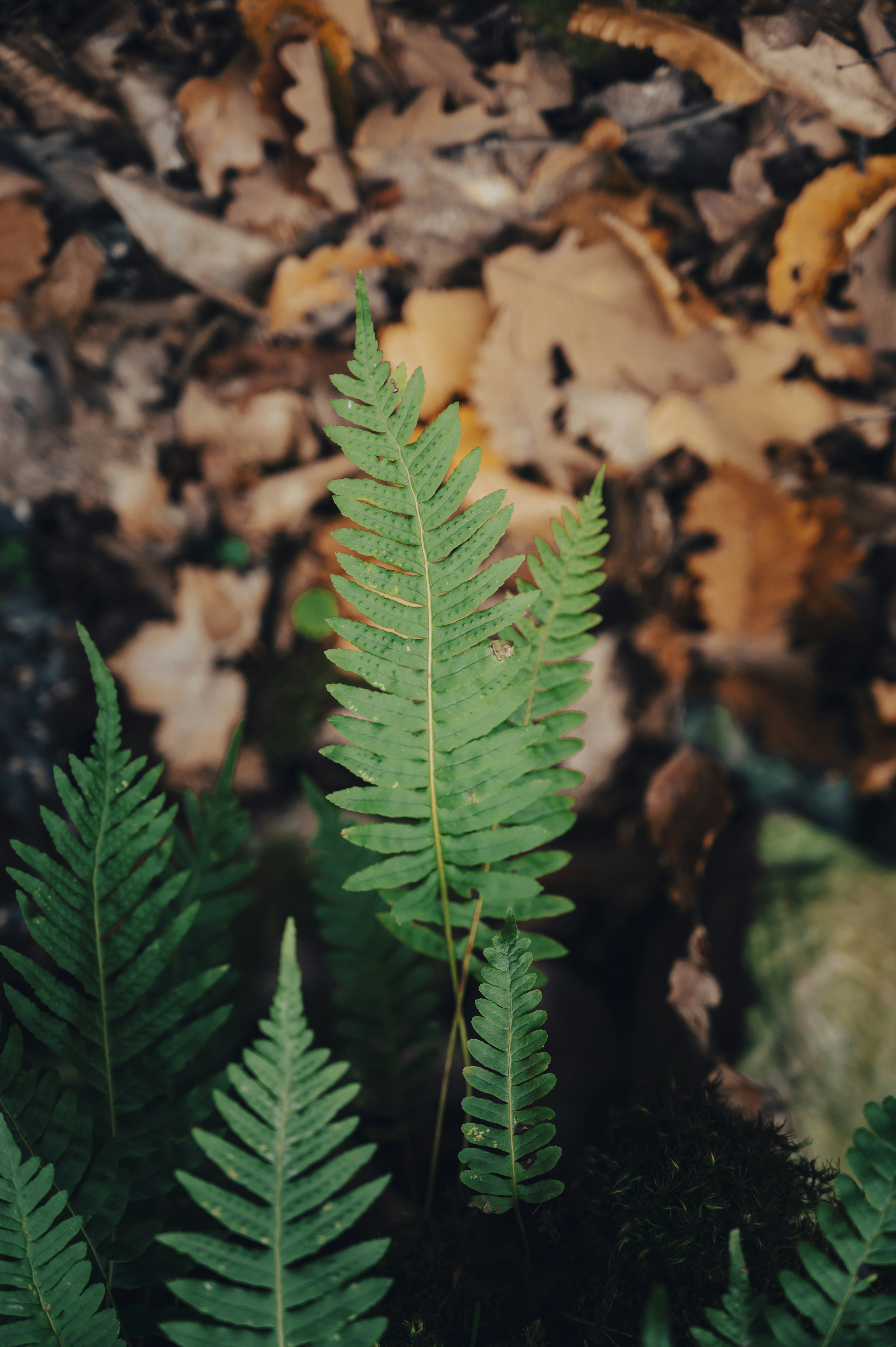 Photo by iso_excited