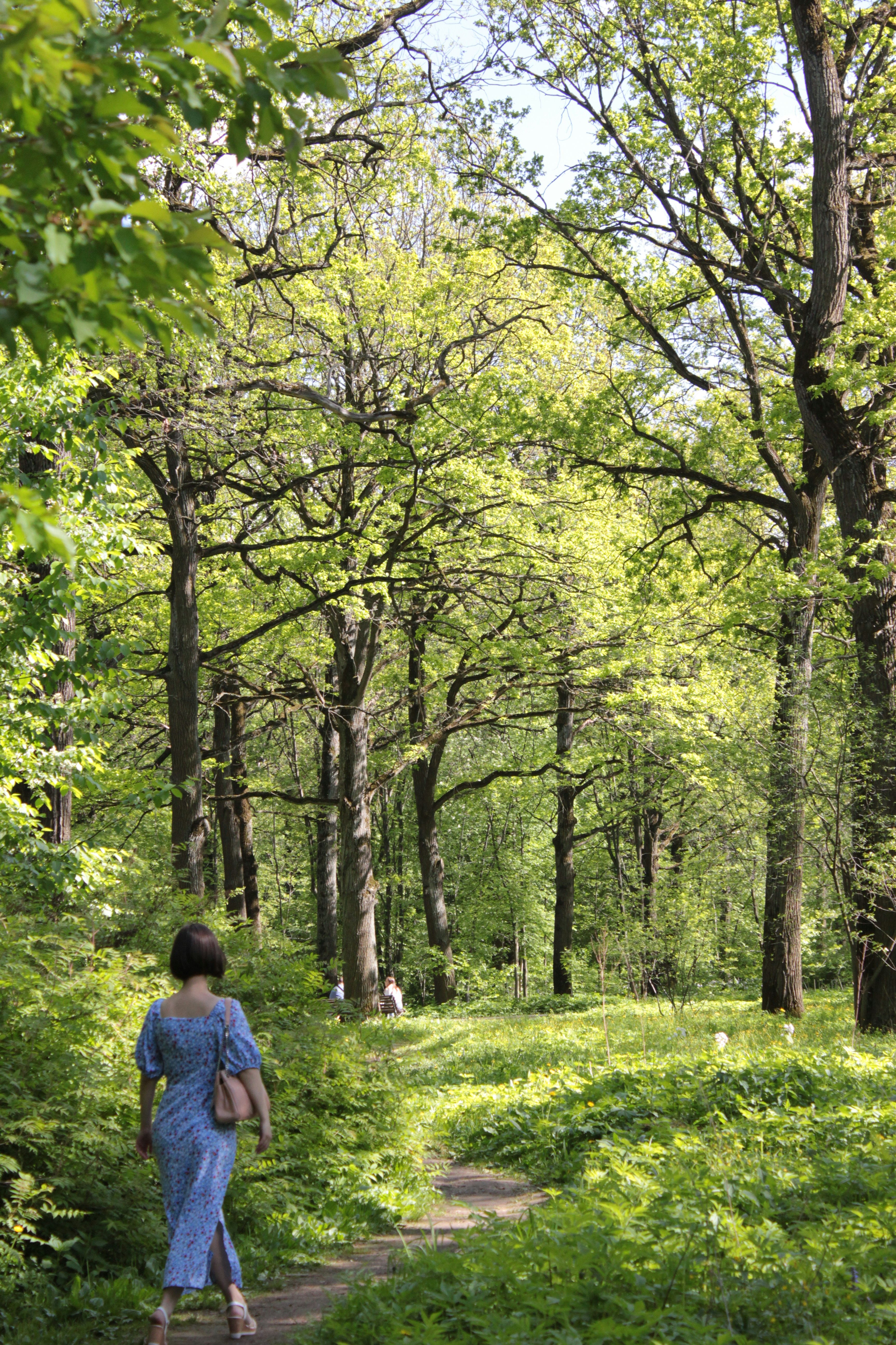 Photo by annagelibterman