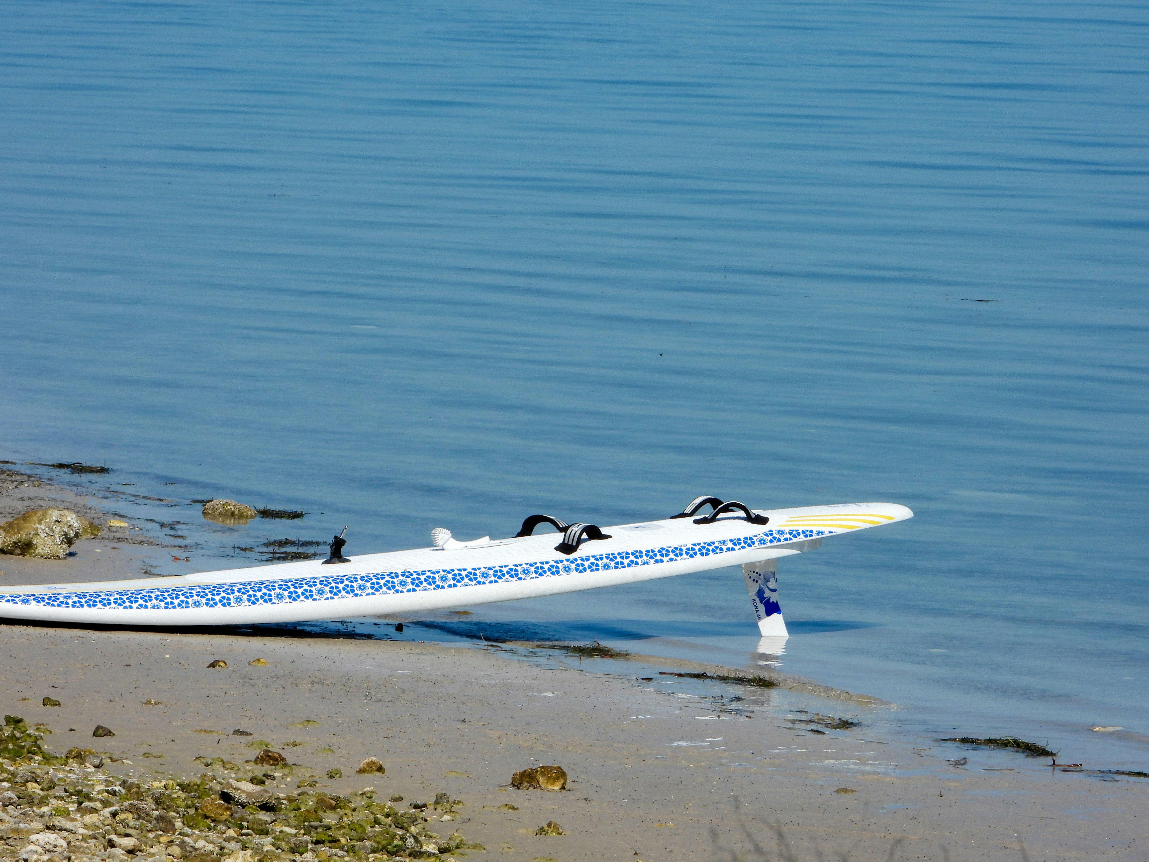 Papan selancar beristirahat di pantai berpasir di tepi air.