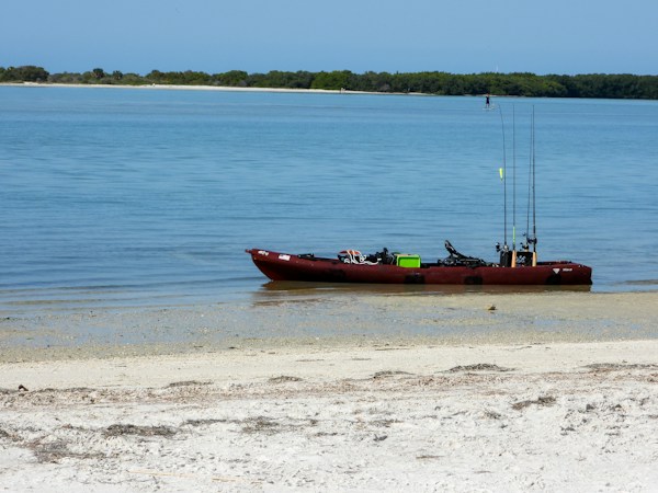Dark red sit-on-top fishing kayak pulled up on a sandy shoreline with four rods standing upright in holders behind the seat