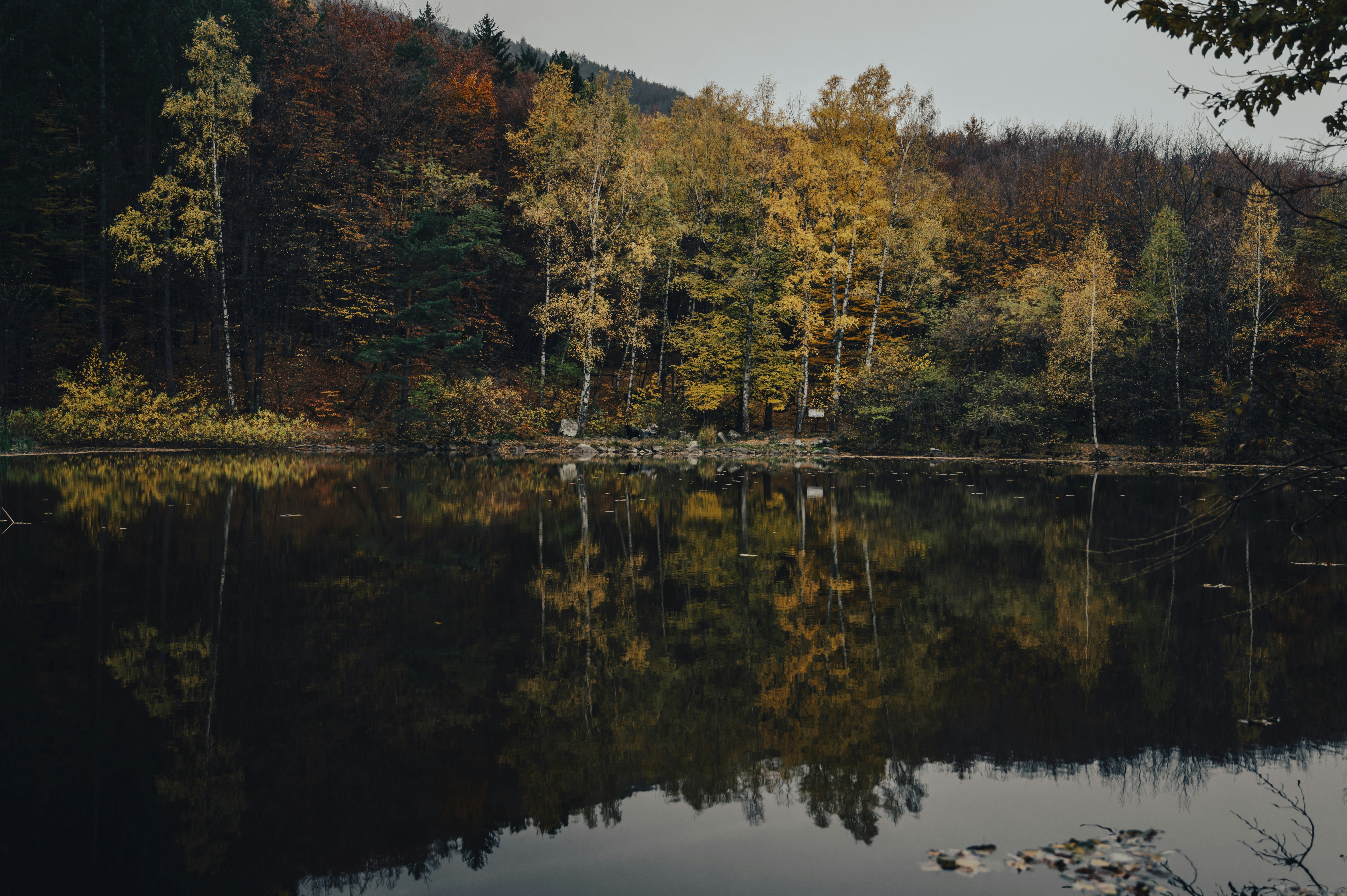 Photo by iso_excited