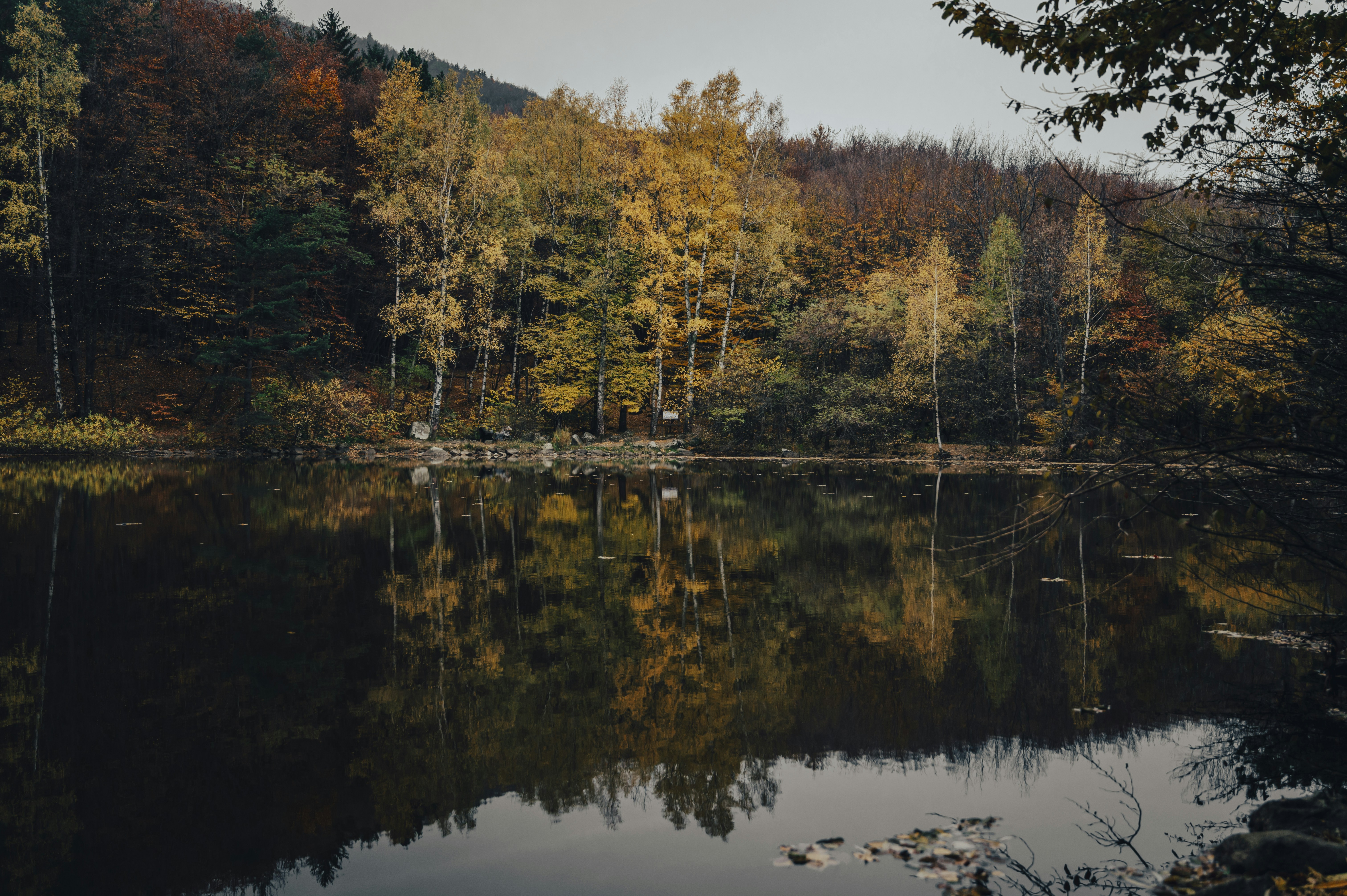 Photo by iso_excited