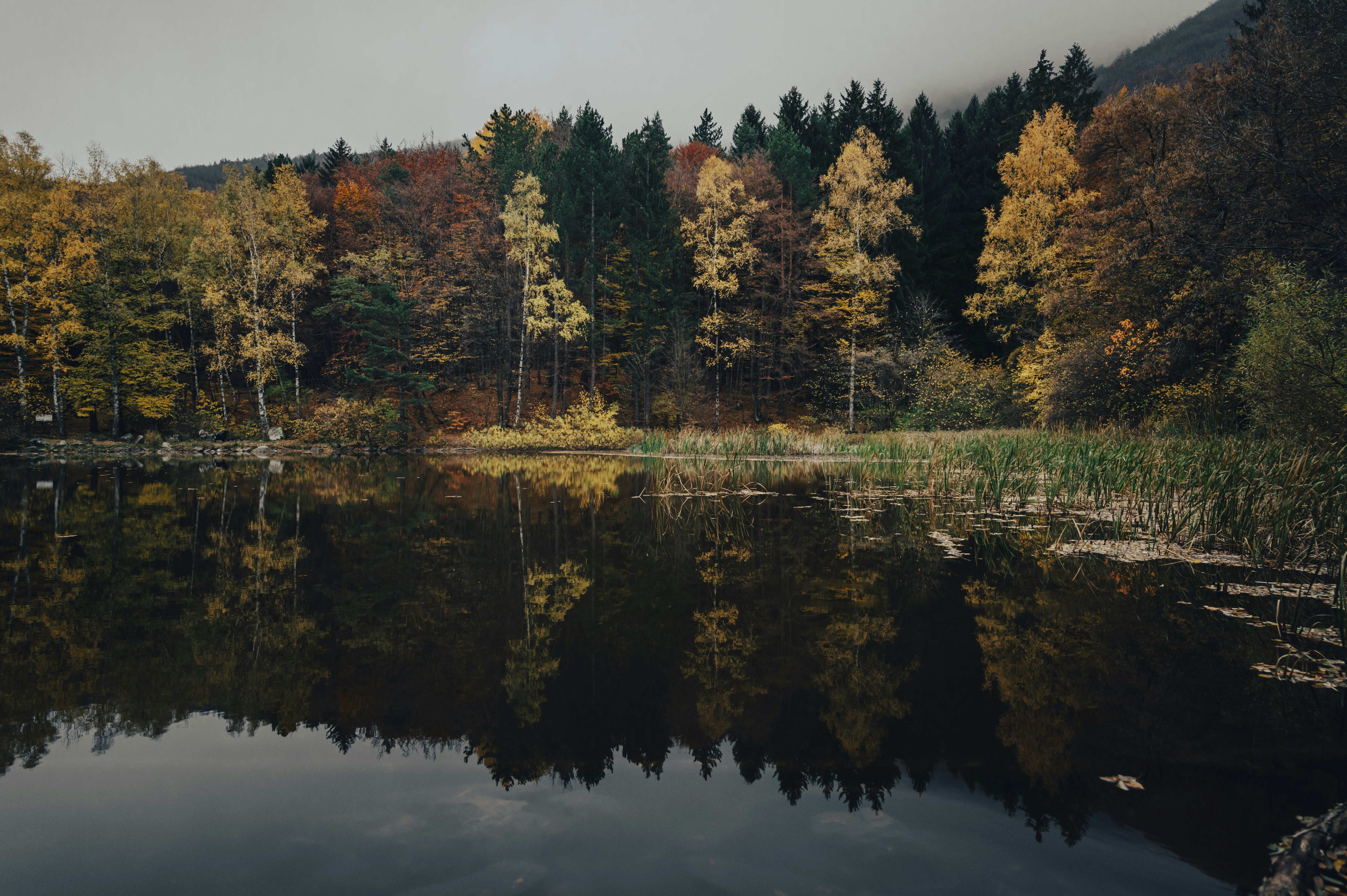 Photo by iso_excited