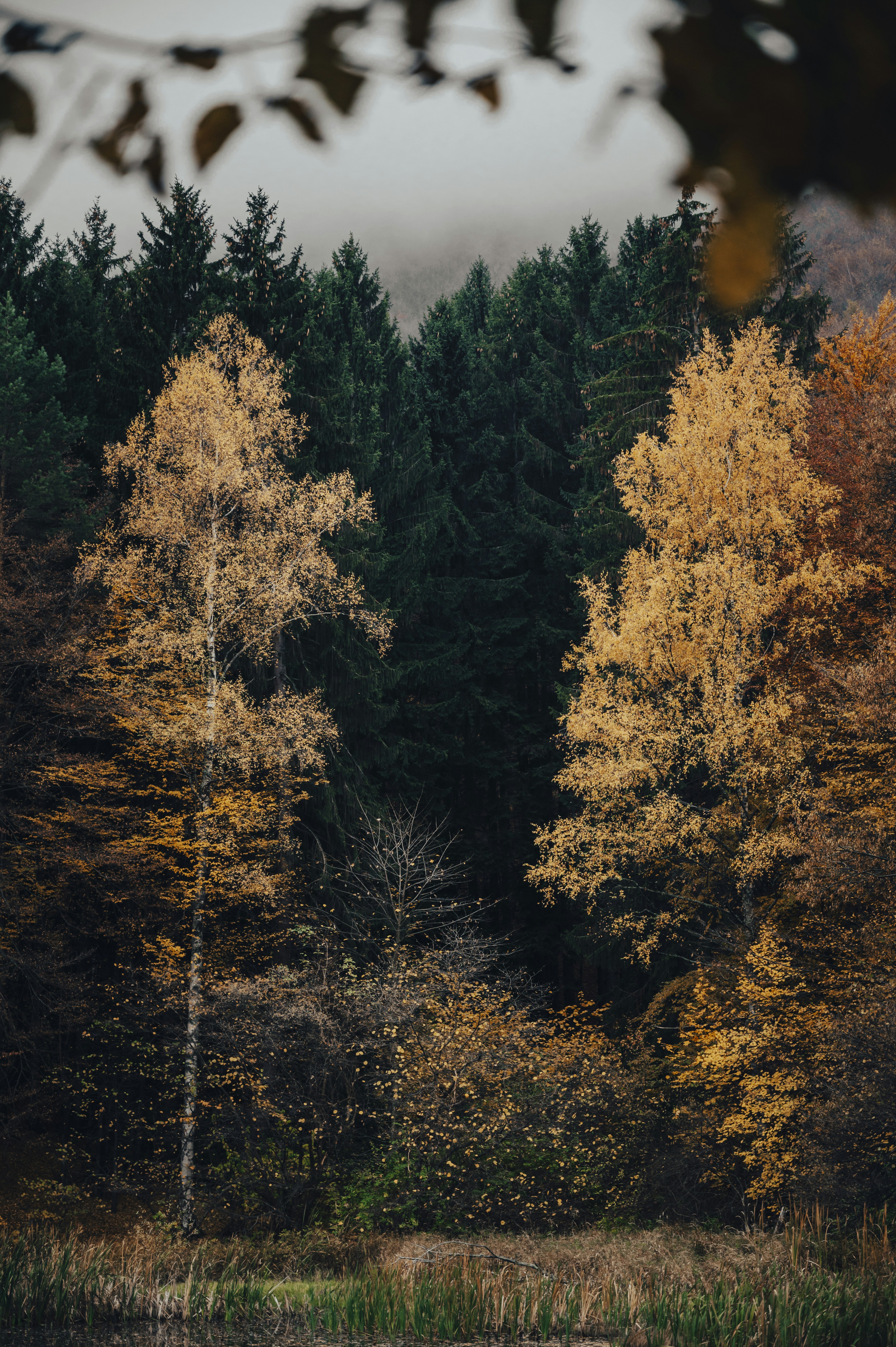 Photo by iso_excited