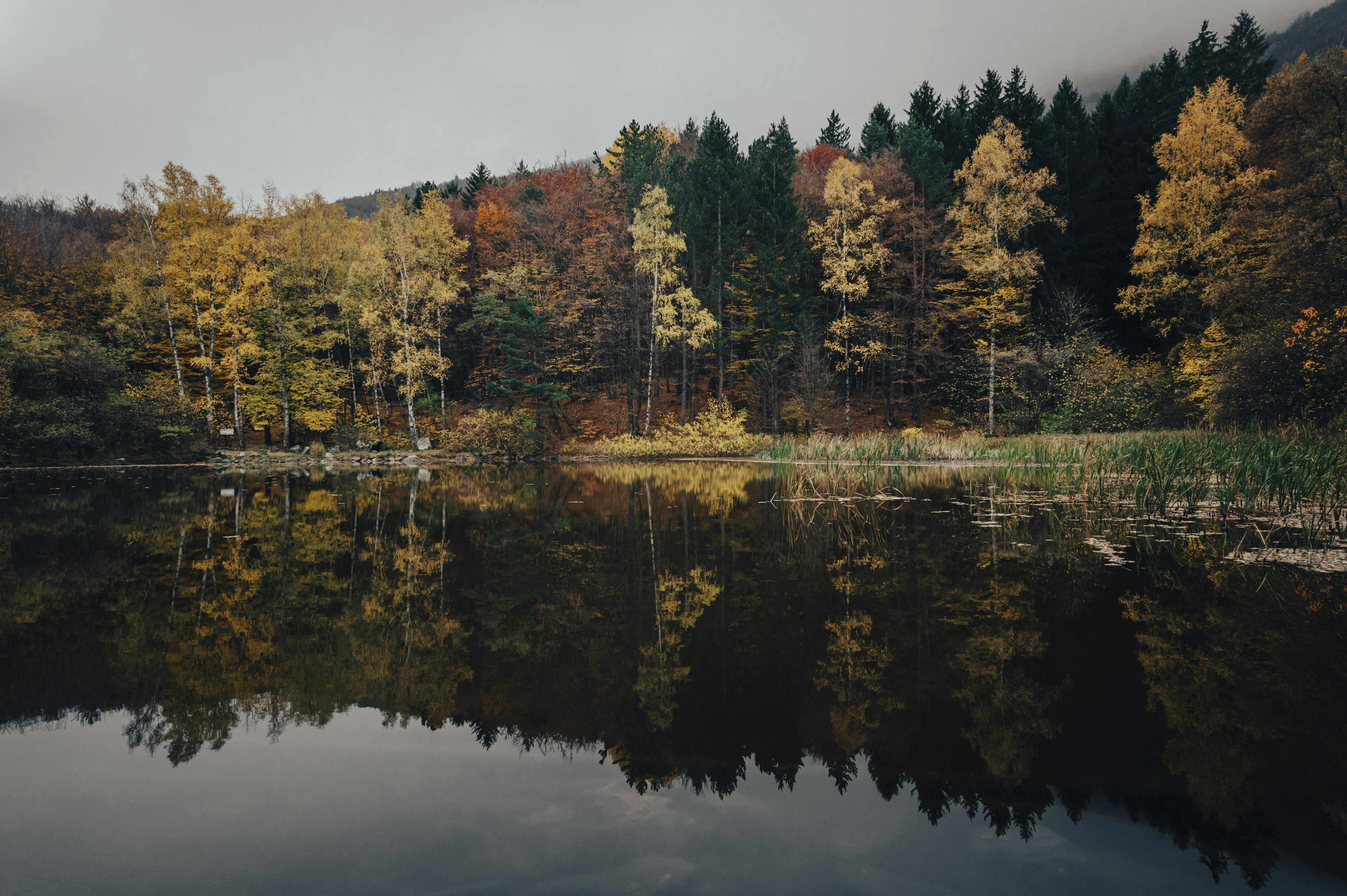 Photo by iso_excited