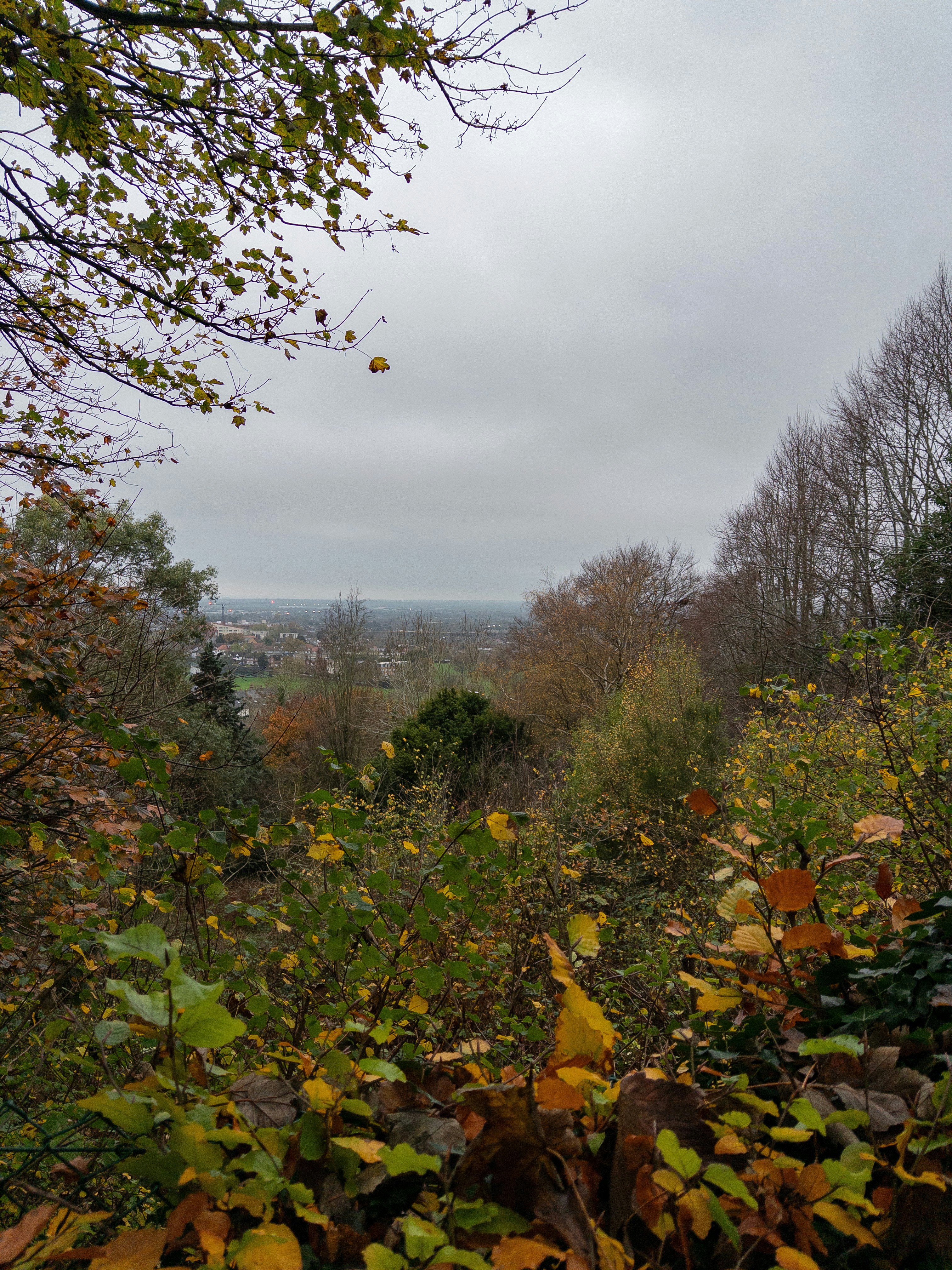 Photo by brett_jordan