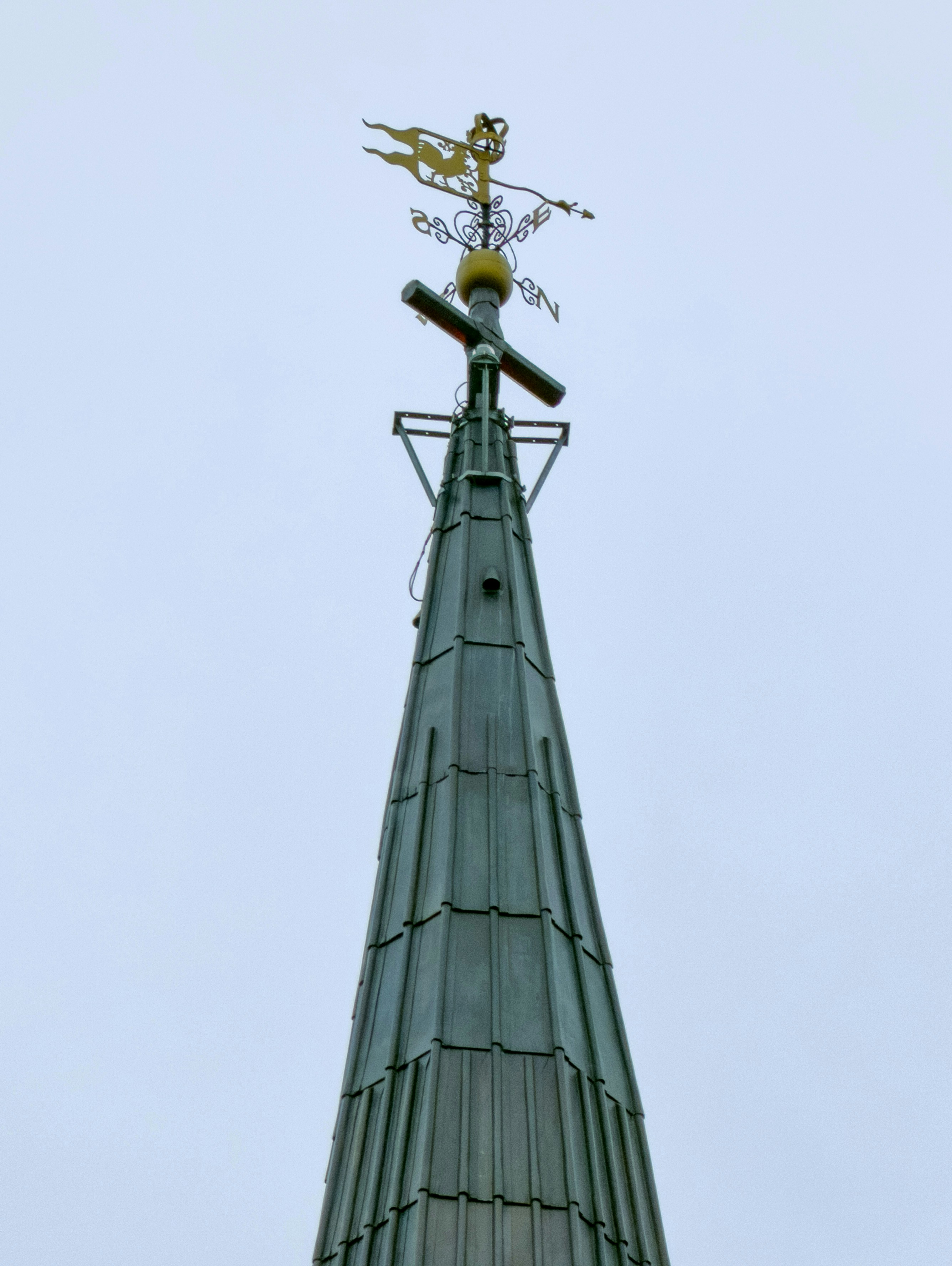 Photo by brett_jordan