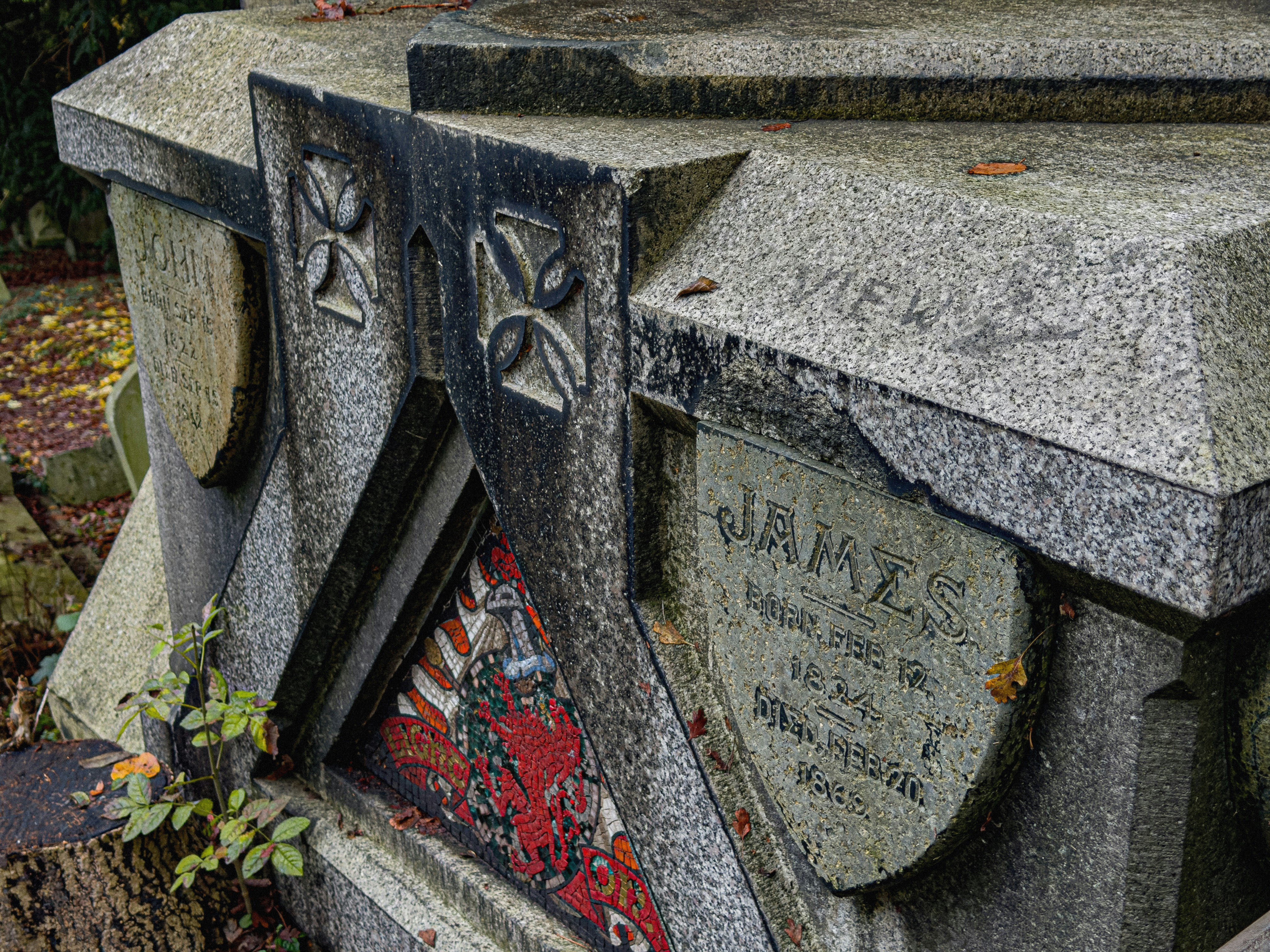 Photo by brett_jordan