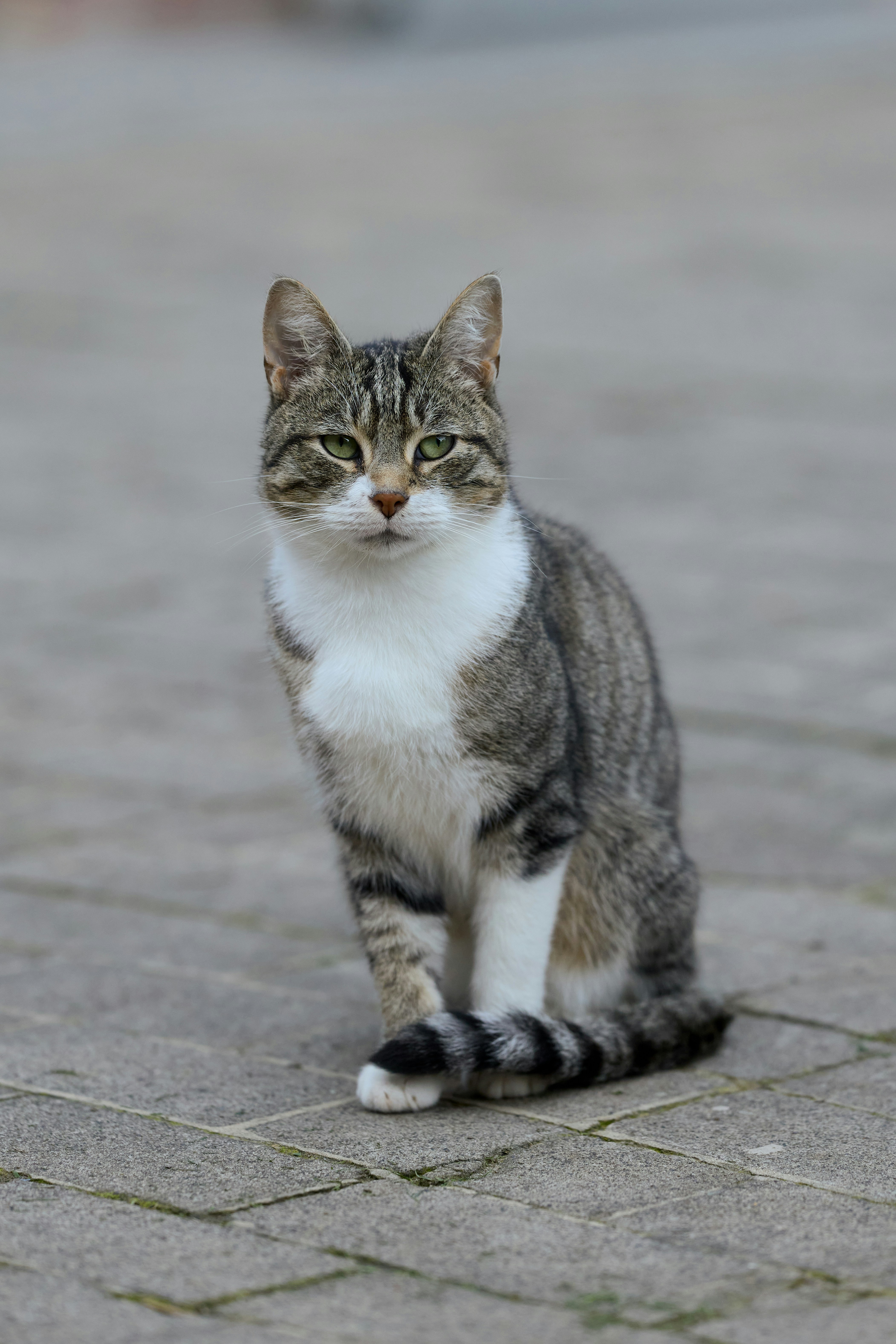 Photo by erwinbosman