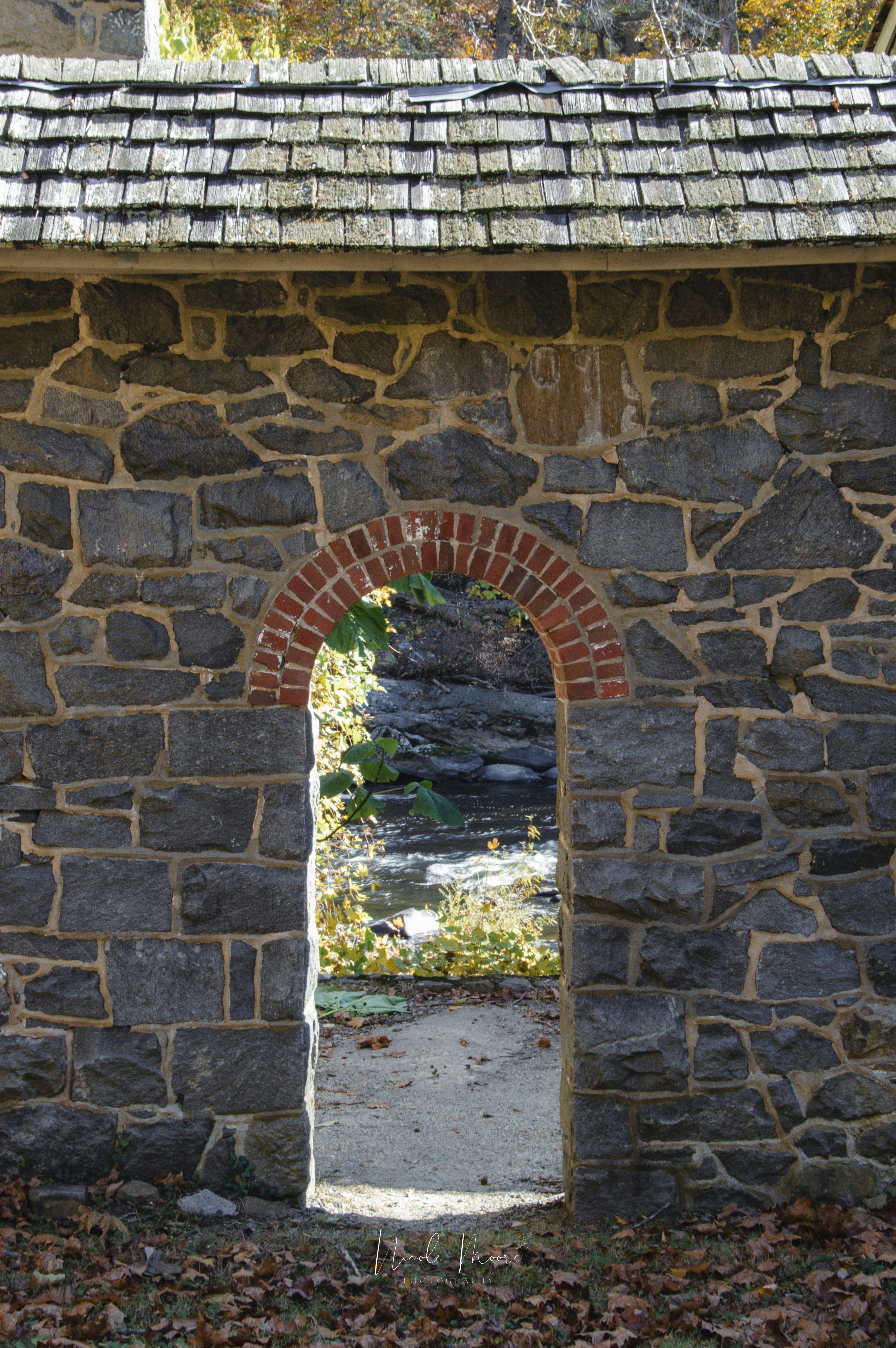 A stone pathway winding through a lush garden.