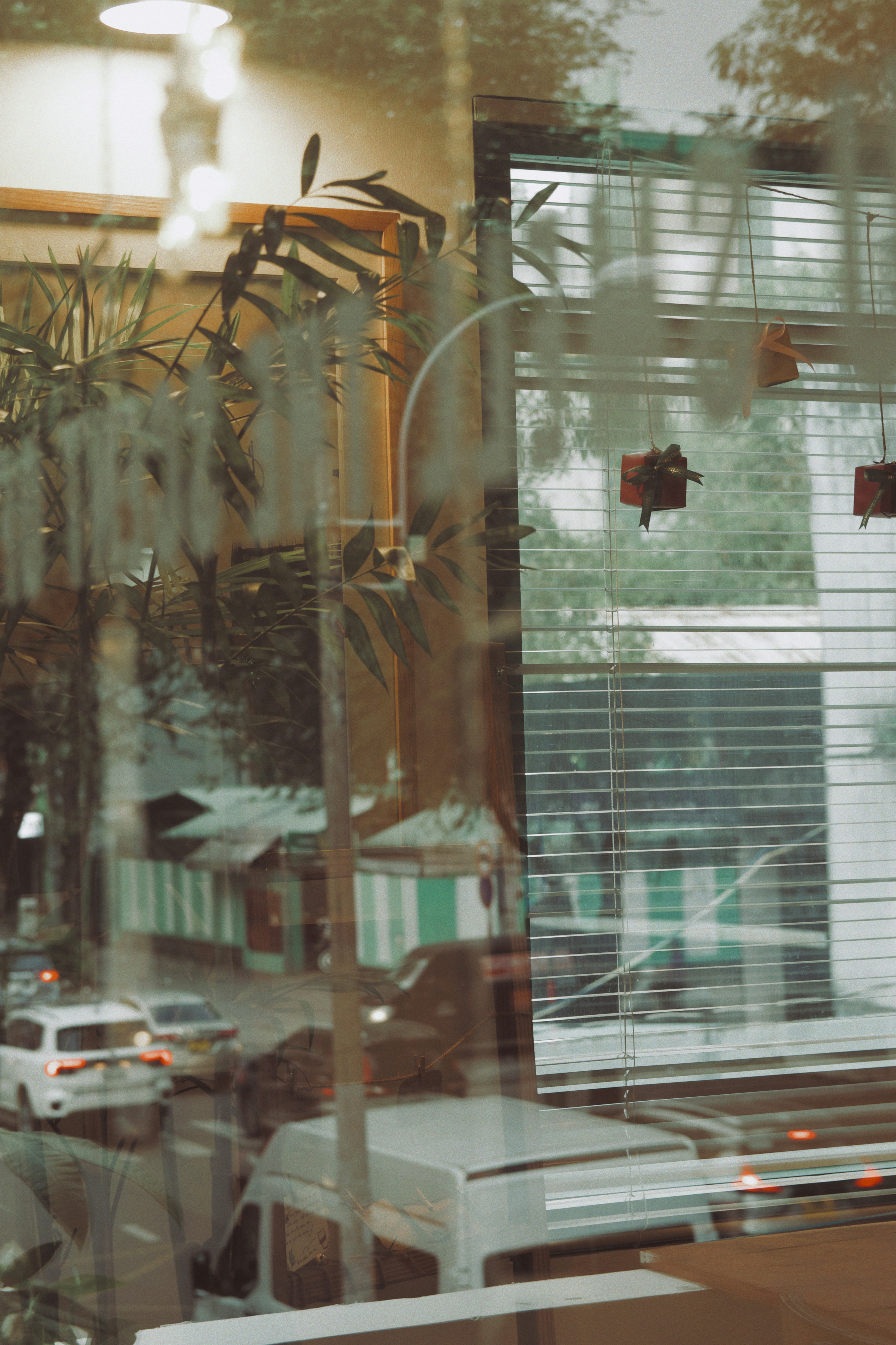 Photo by haungynphuc