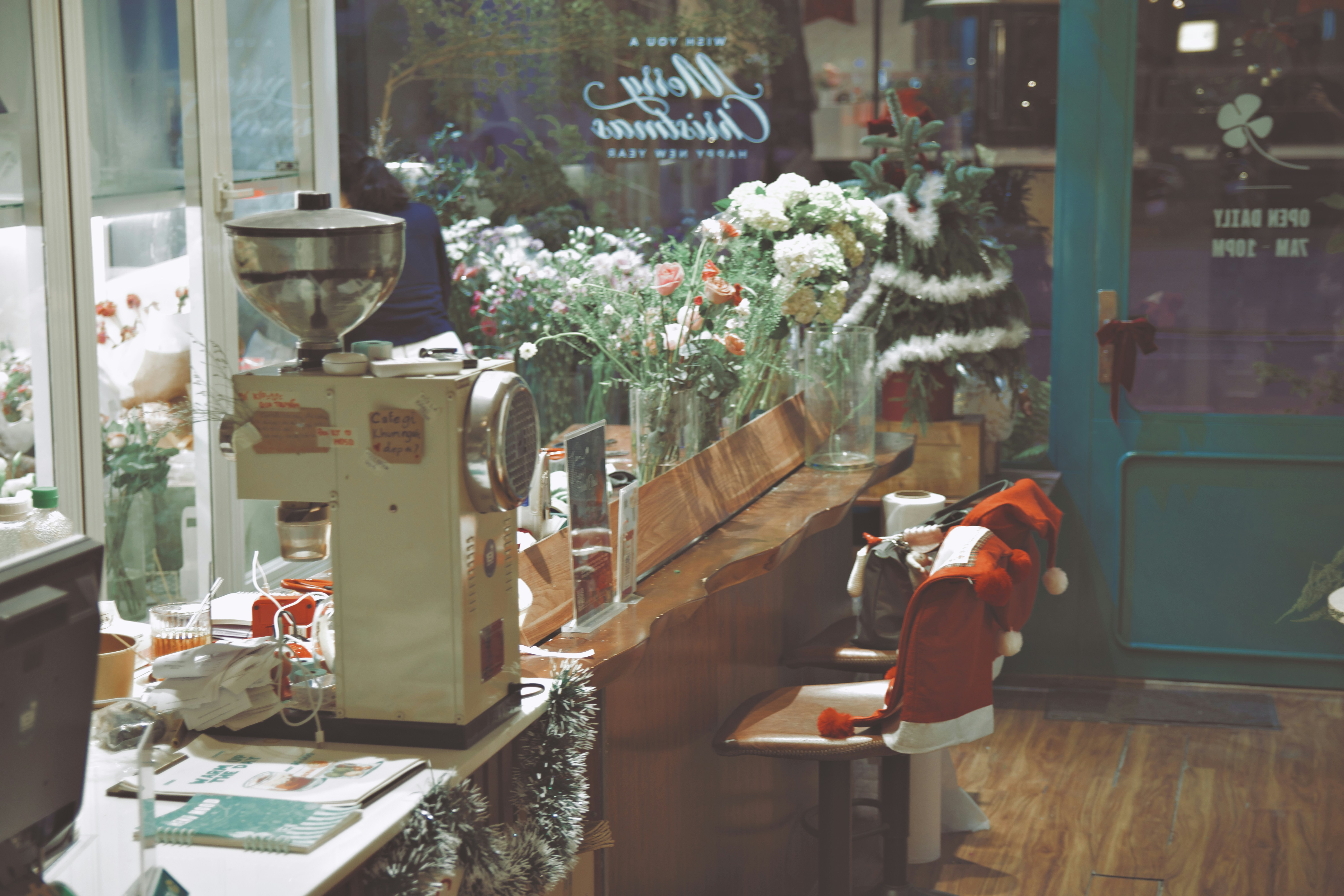 Photo by haungynphuc