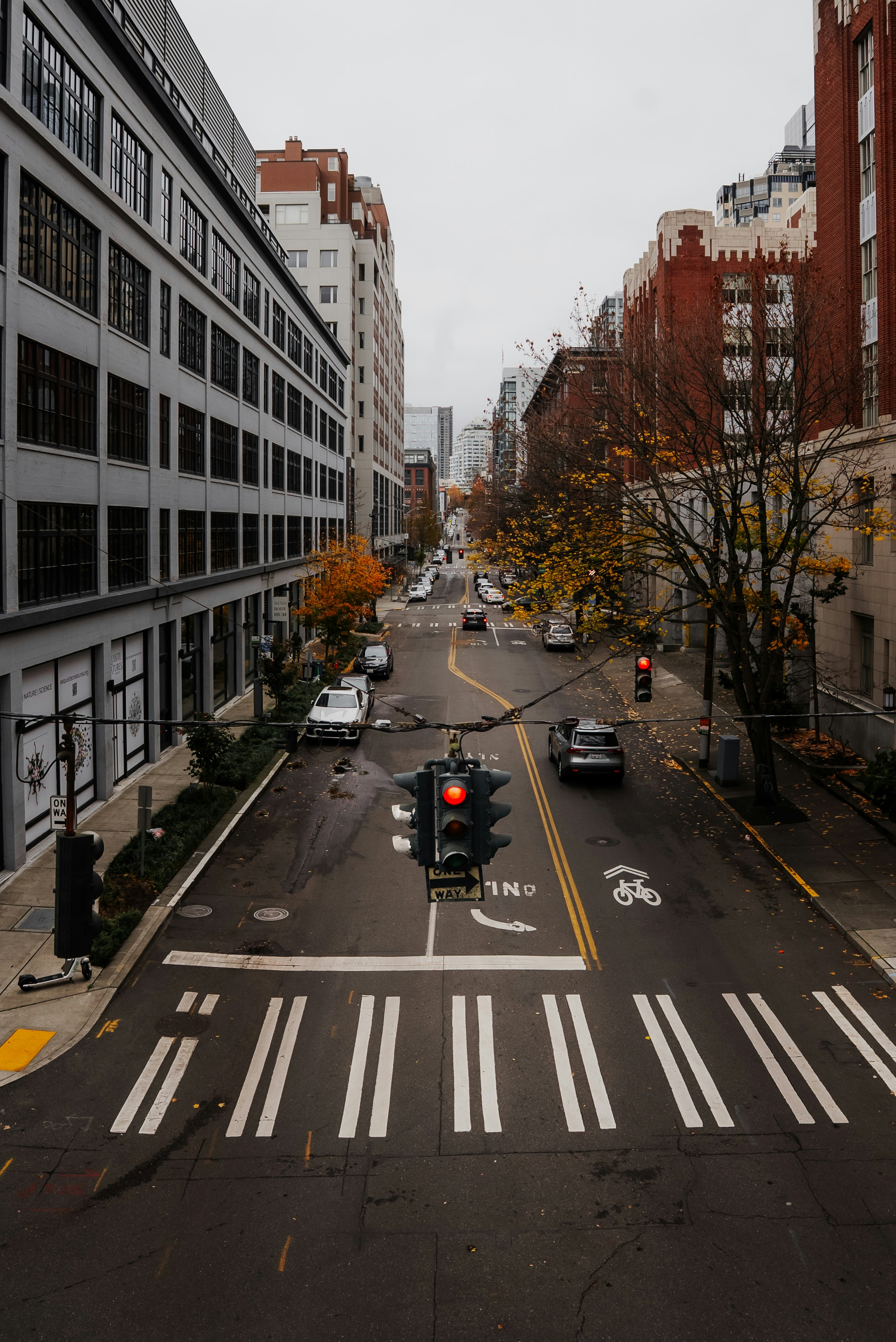 City street with traffic light and autumn trees.
