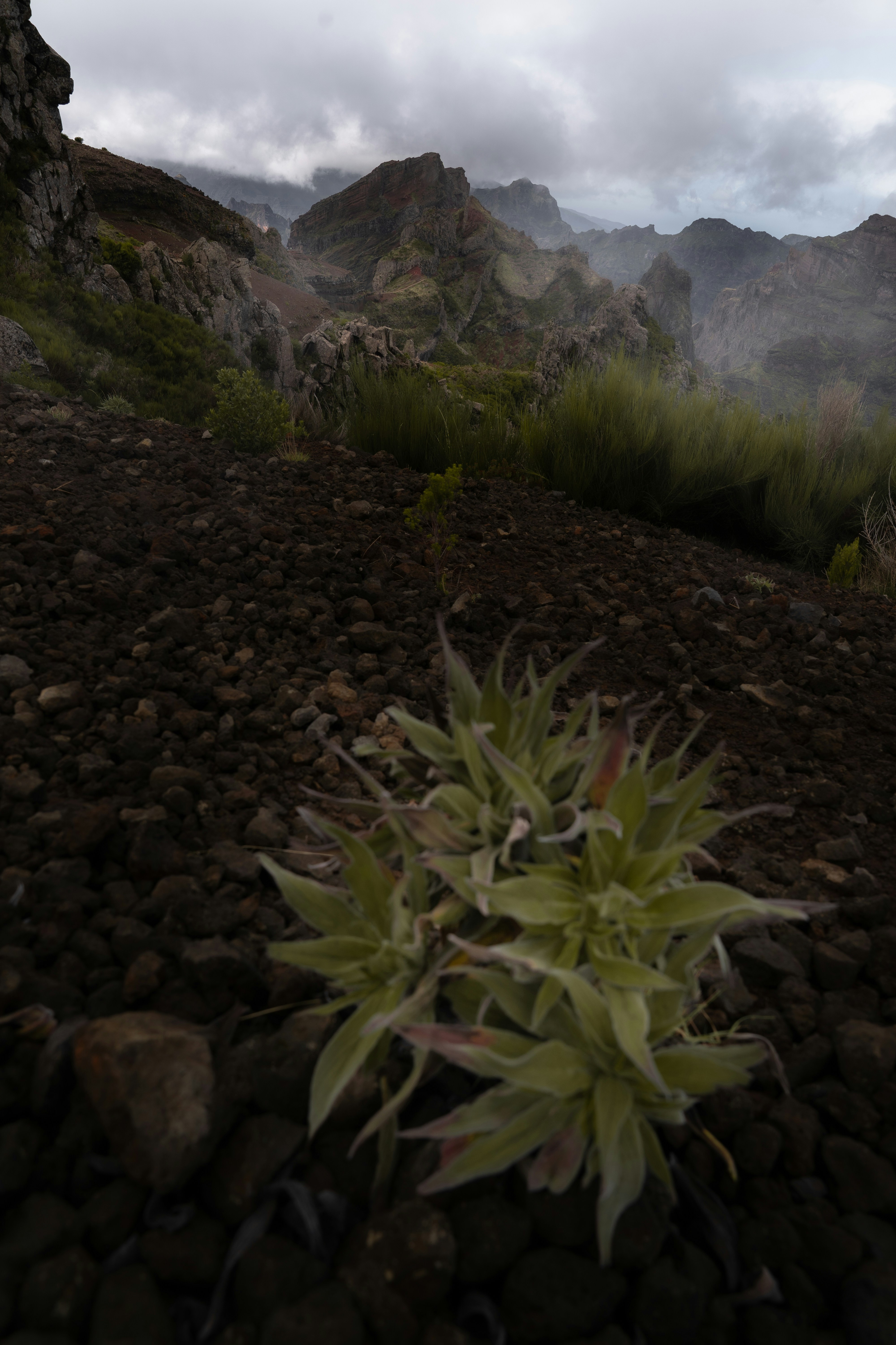 Rugged volcanic landscape with sparse vegetation and misty mountains.