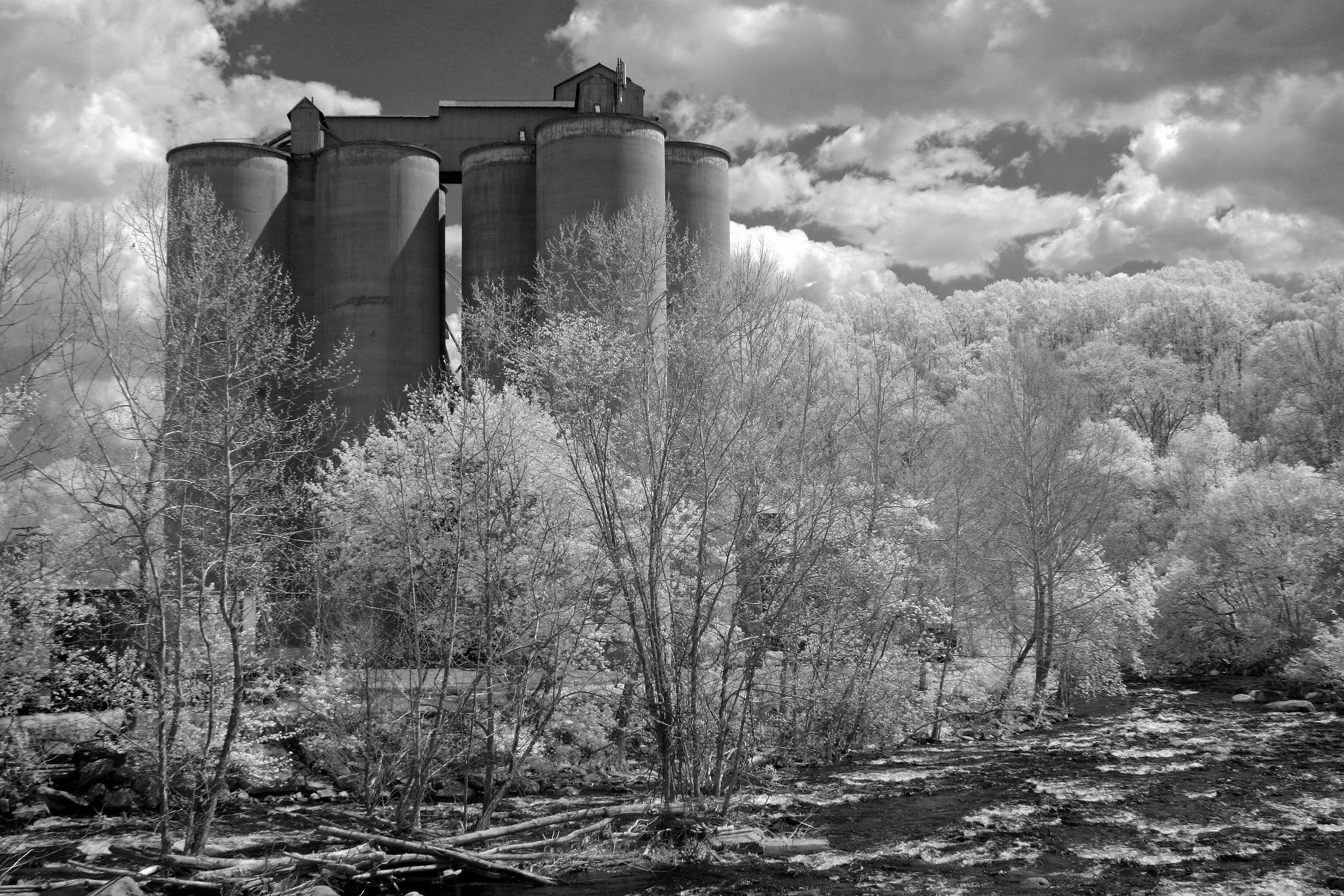 Photo by john_cardamone