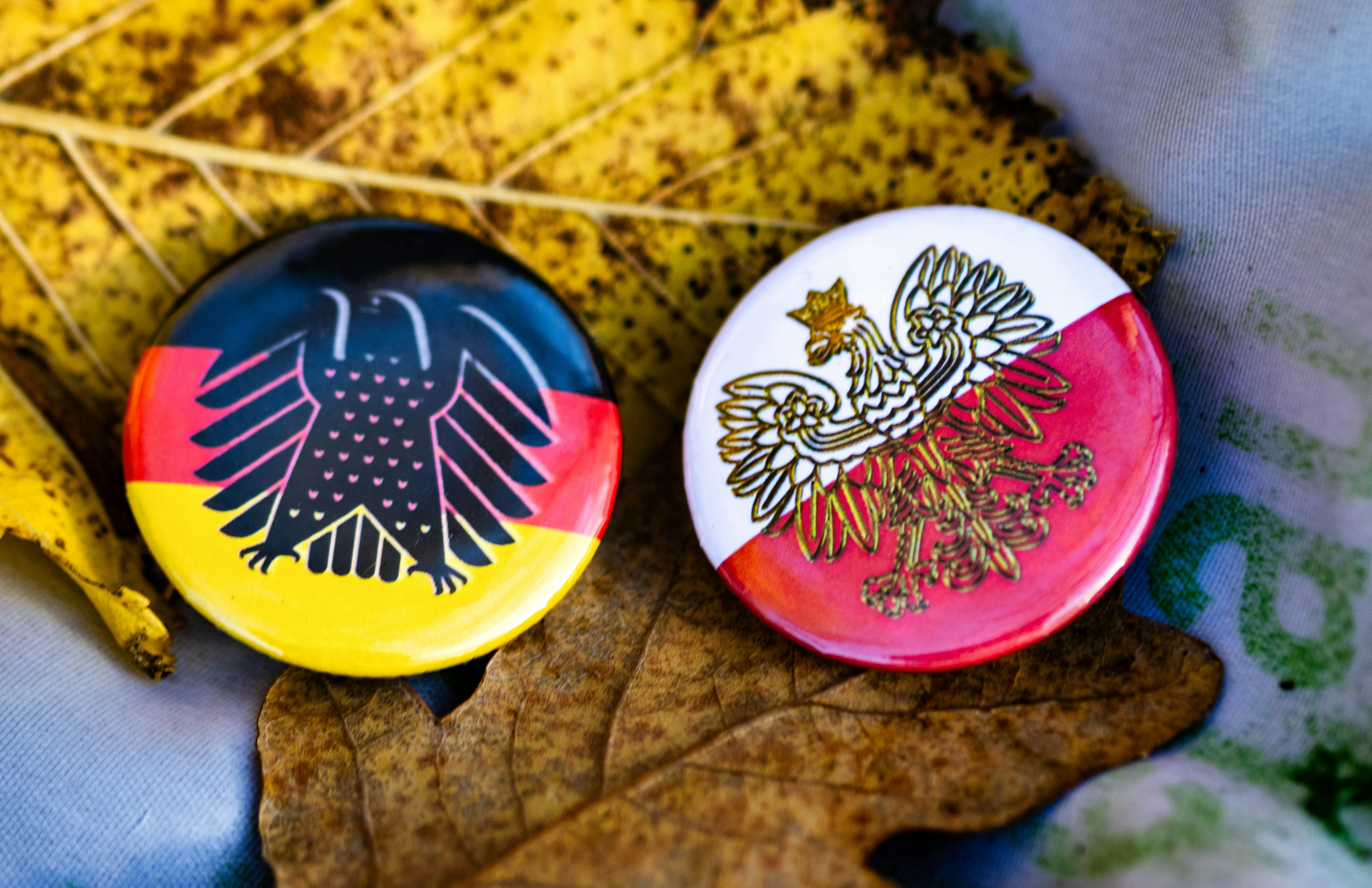 Two national flag pins on autumn leaves