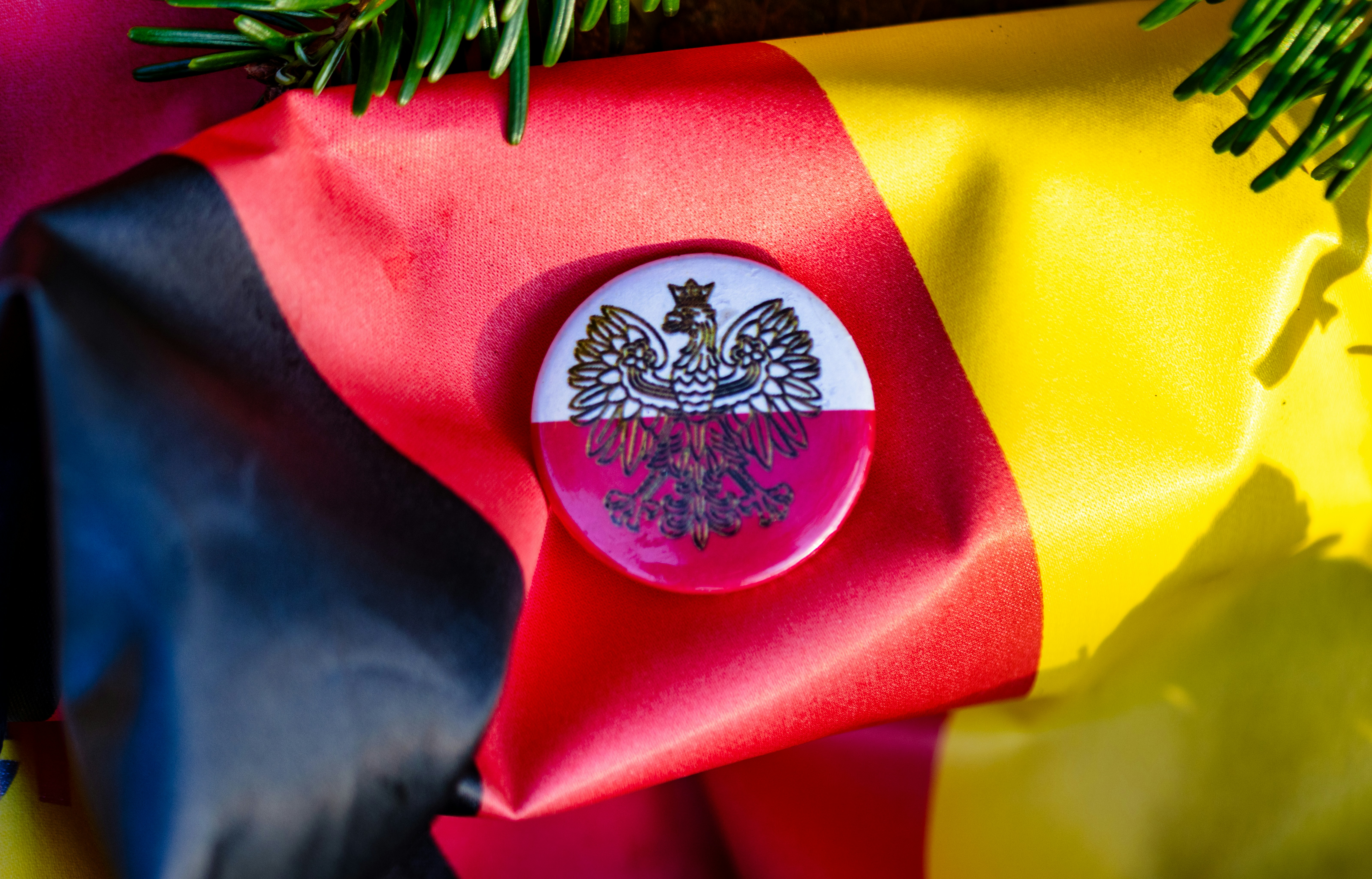 German flag with polish emblem and evergreen branch