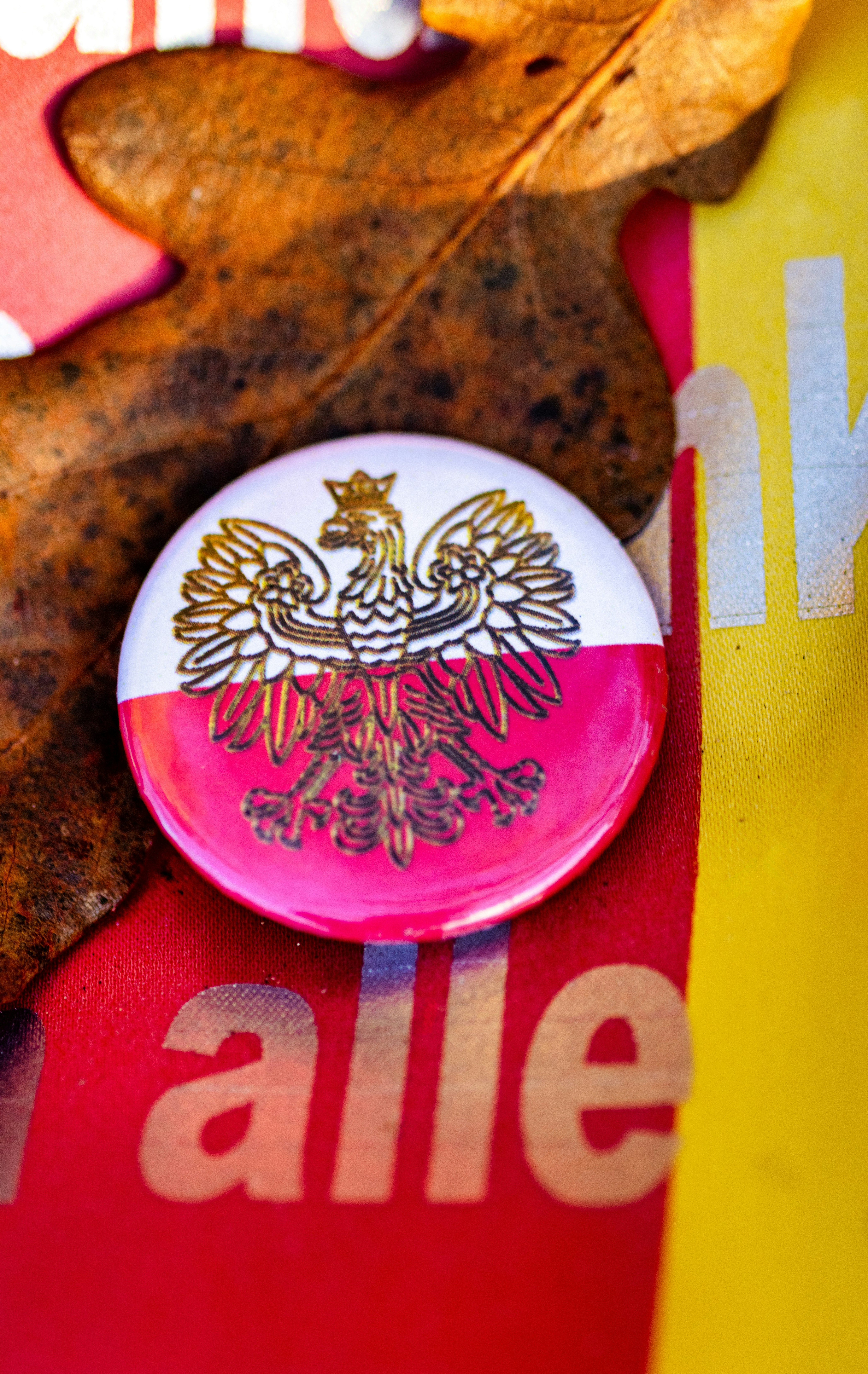 Polish eagle badge on red and yellow background