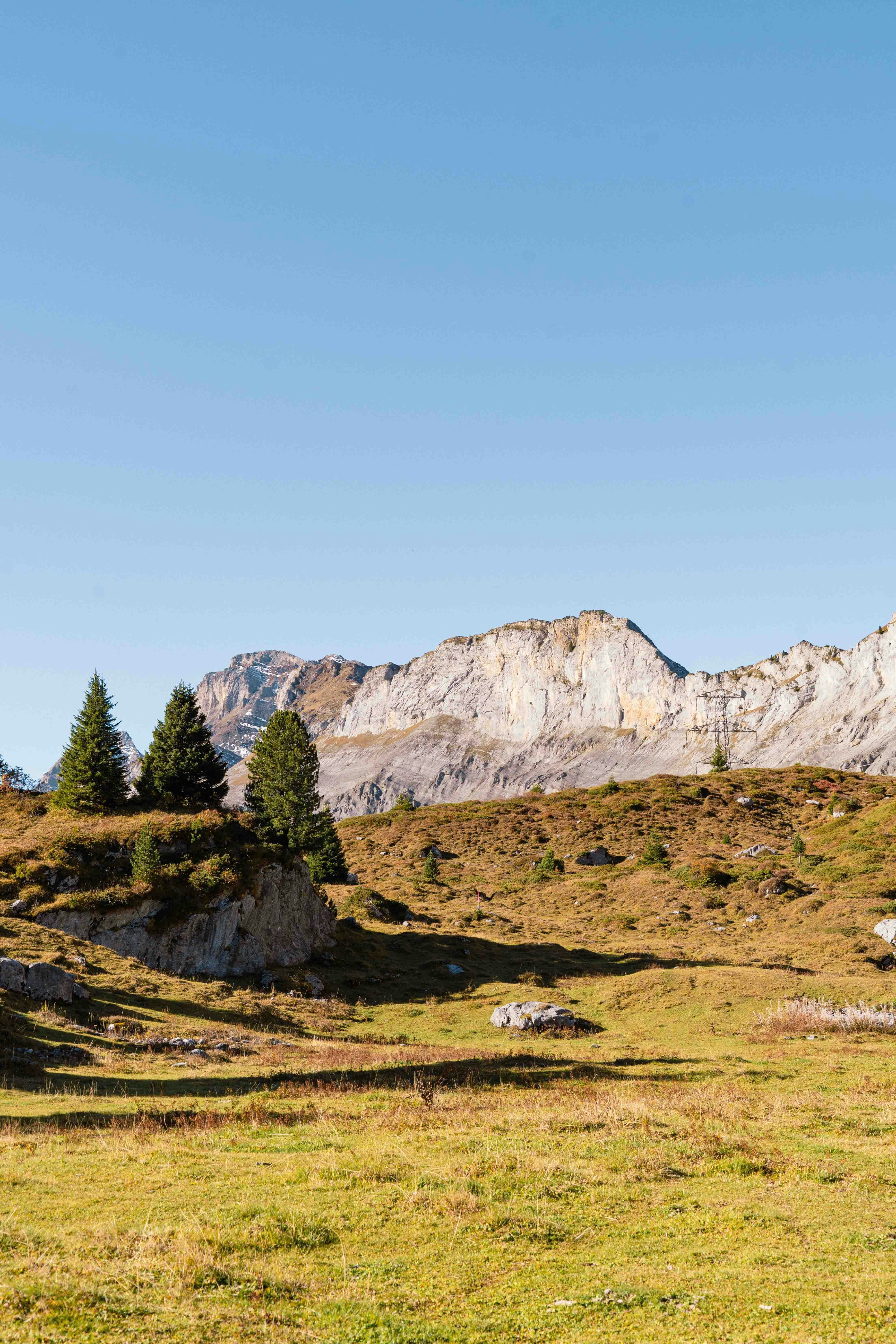 Photo by melina_dominic