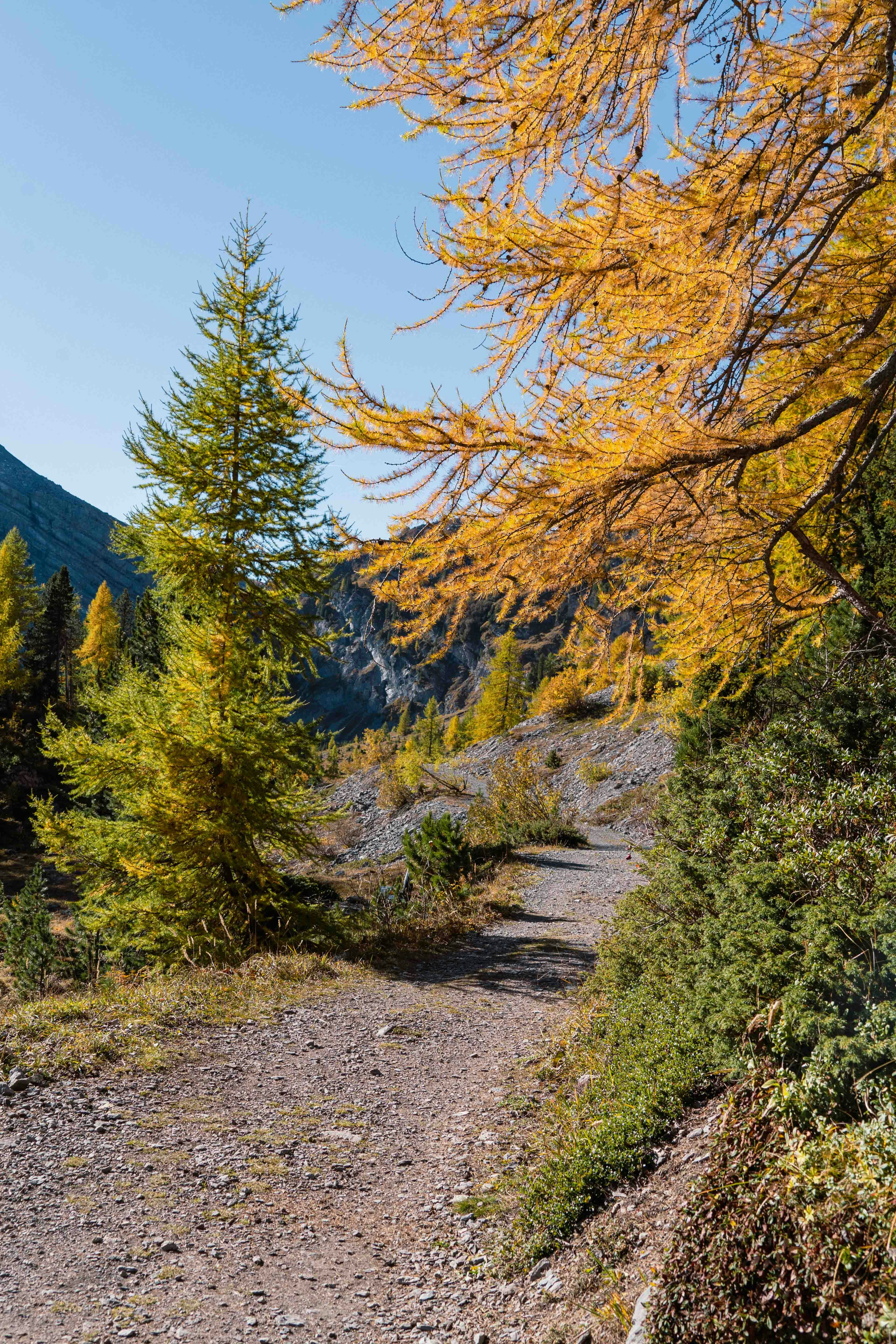 Photo by melina_dominic