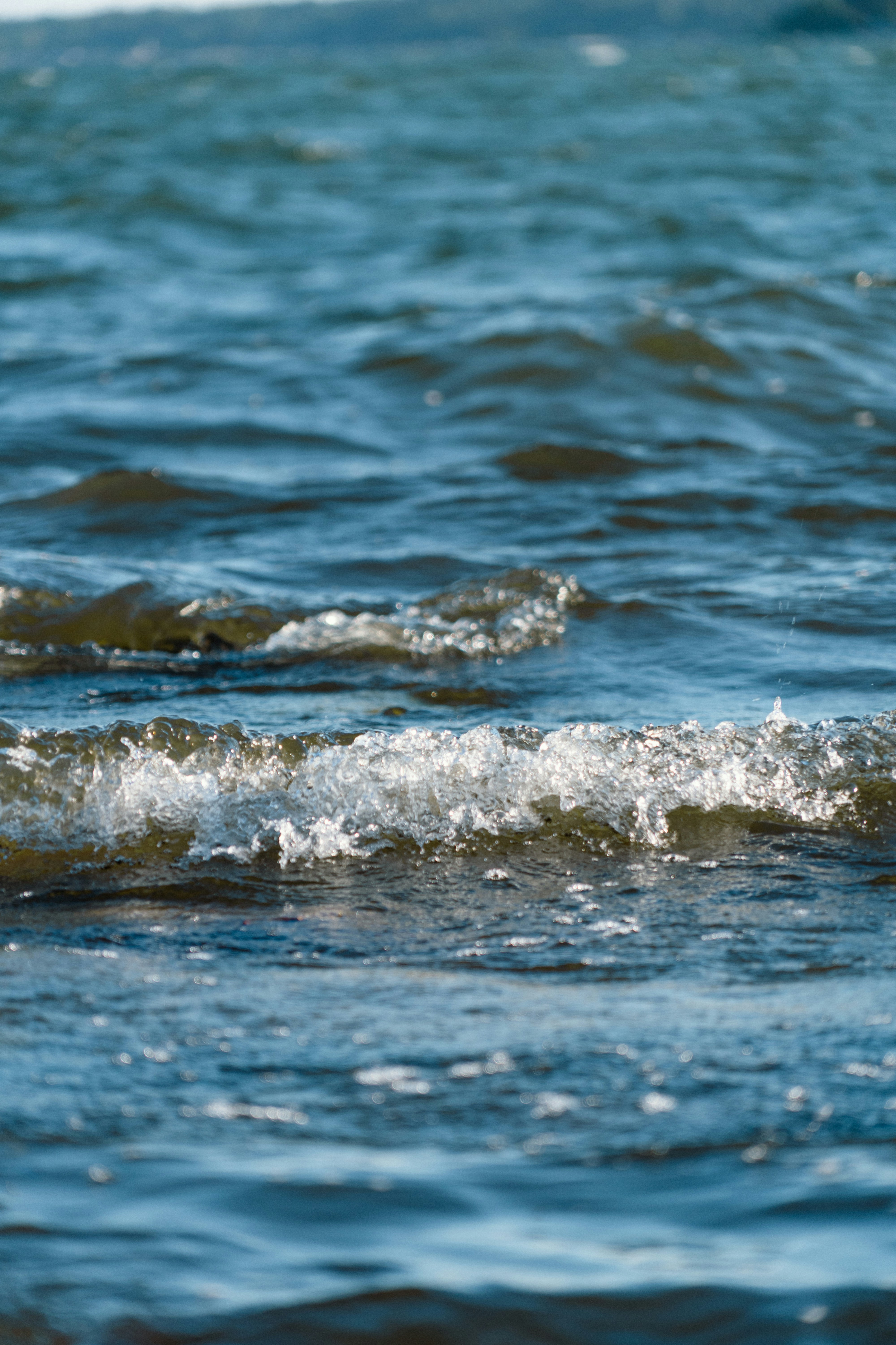 Photo by melina_dominic