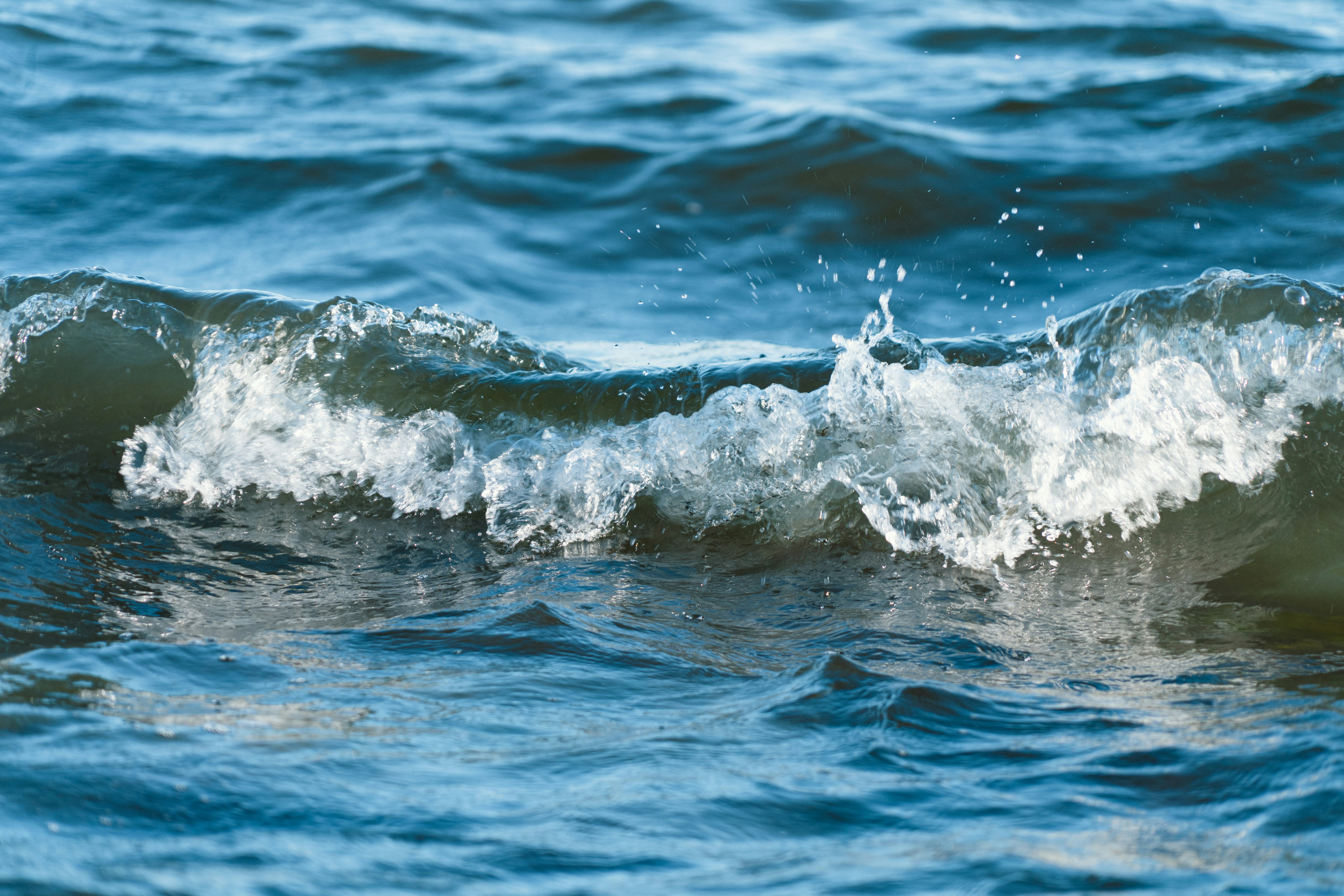 Photo by melina_dominic