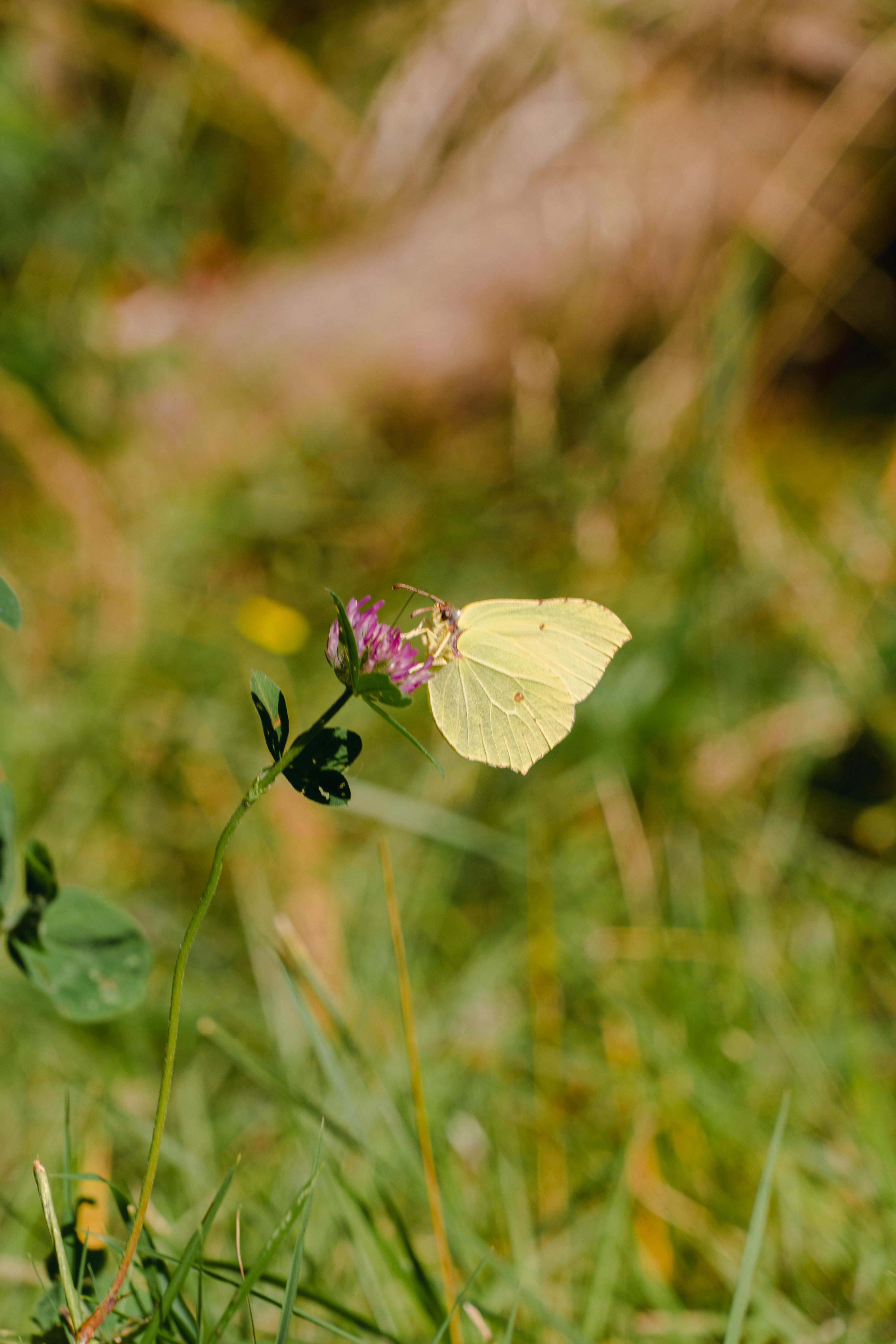 Photo by melina_dominic