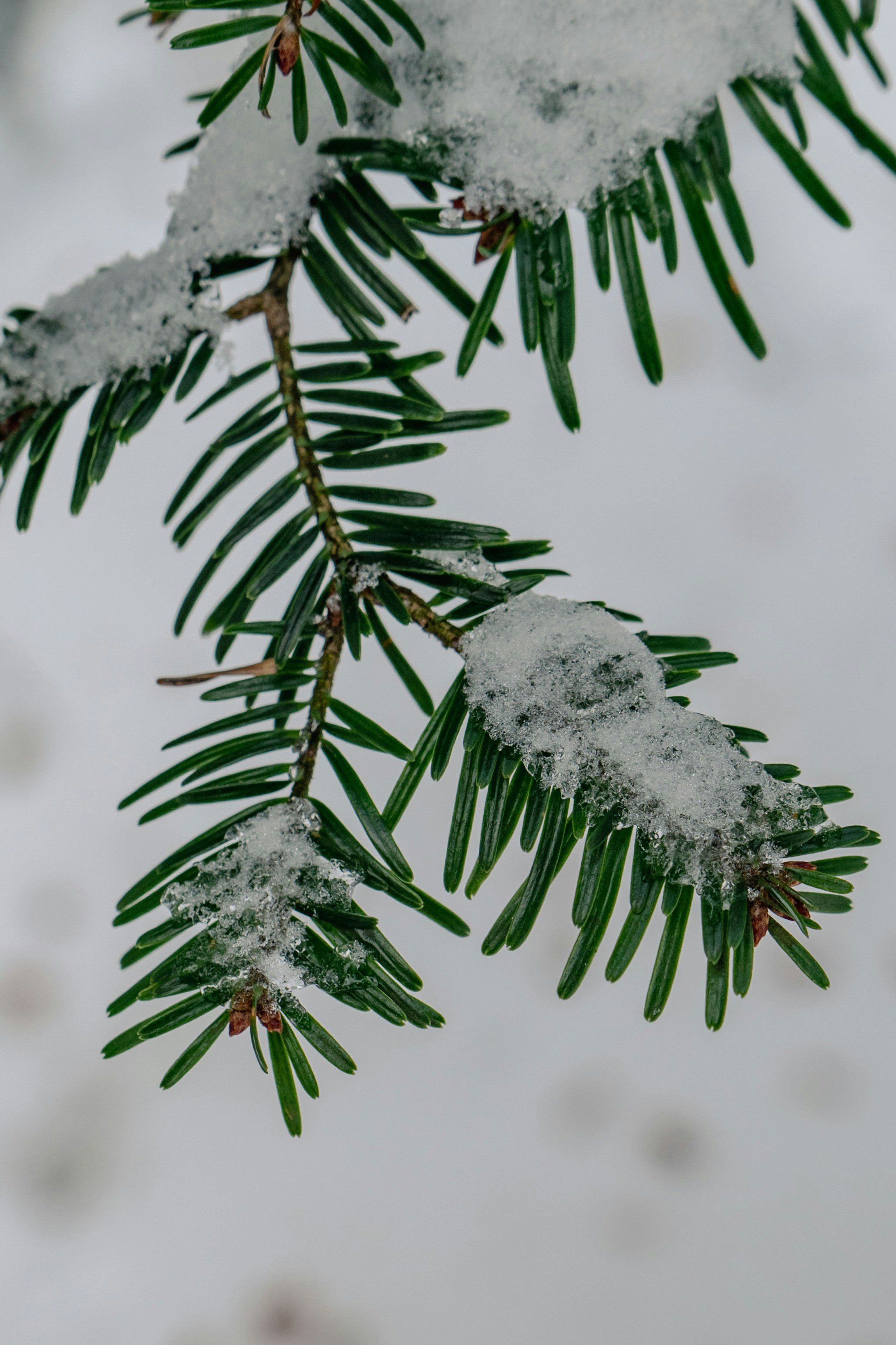 Photo by melina_dominic