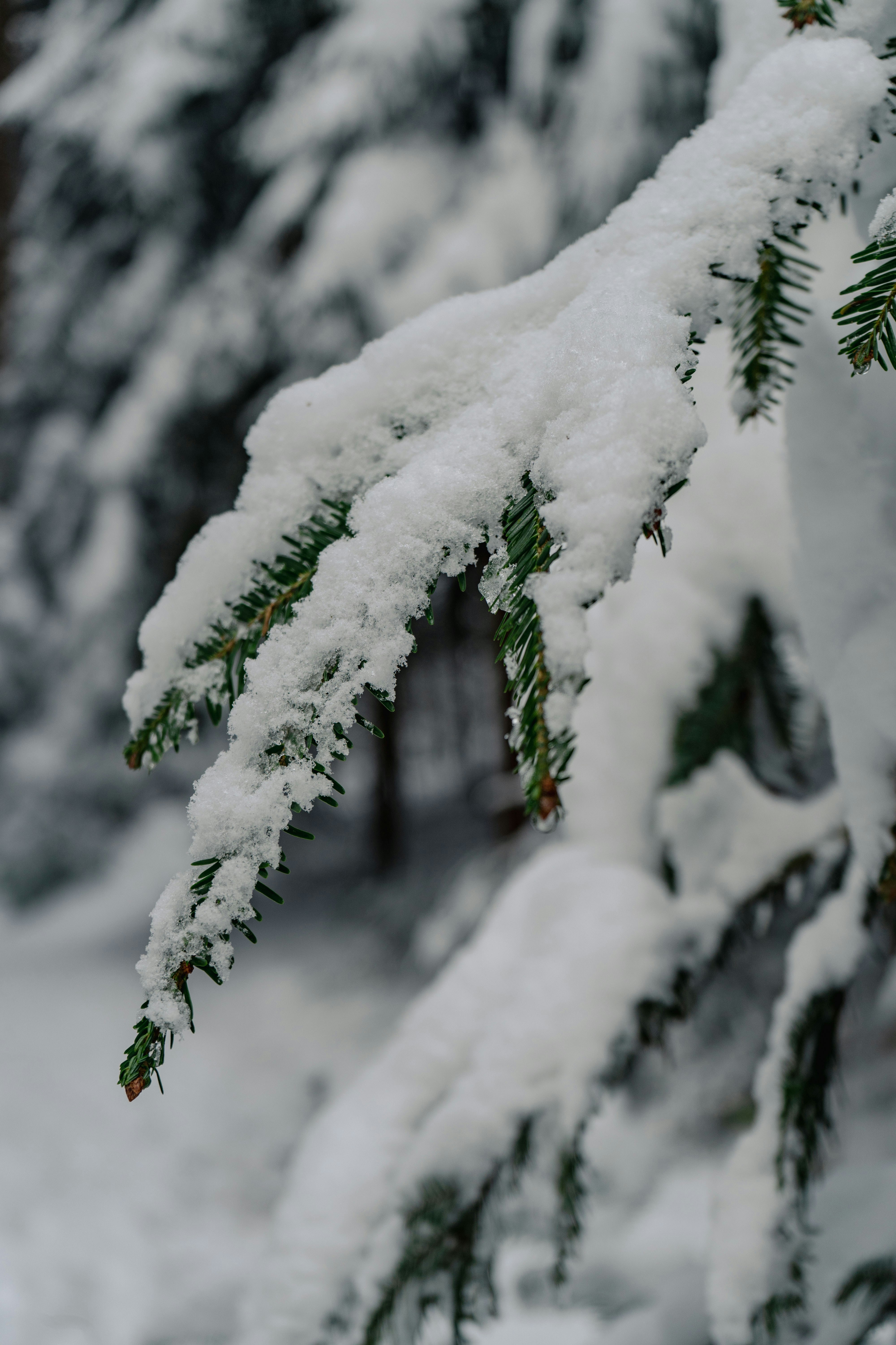 Photo by melina_dominic