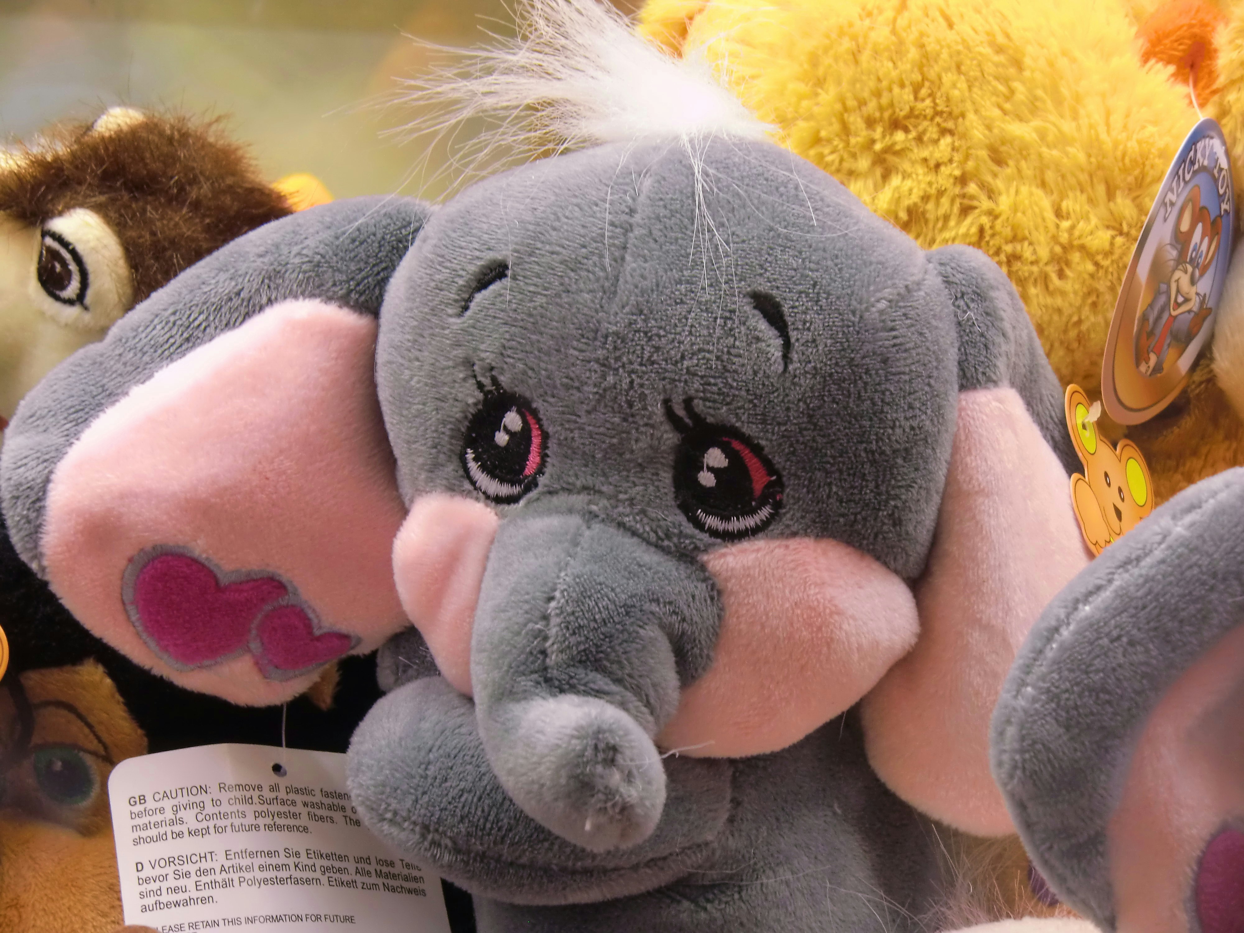 Photo by nikodemus777