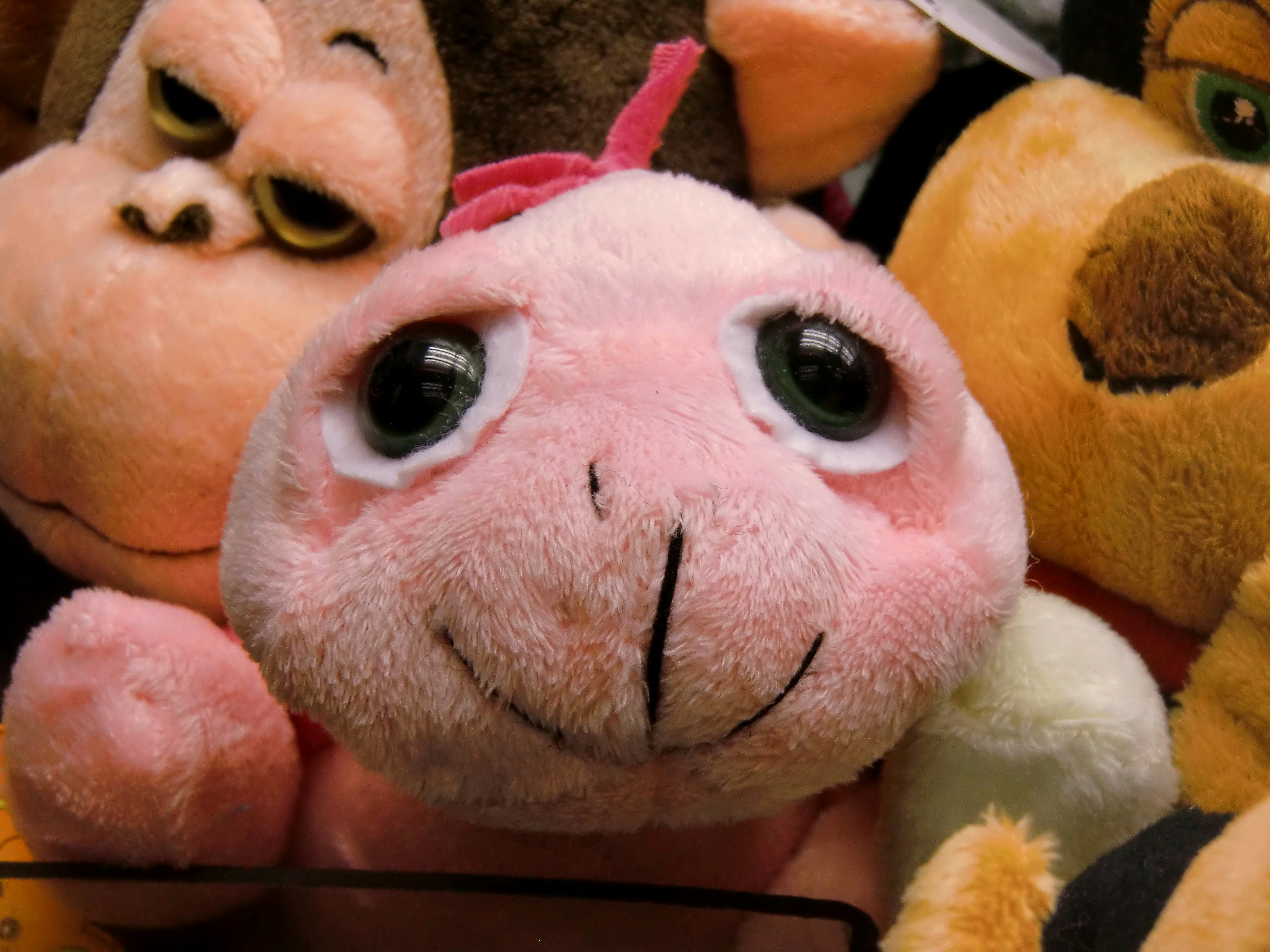 Photo by nikodemus777