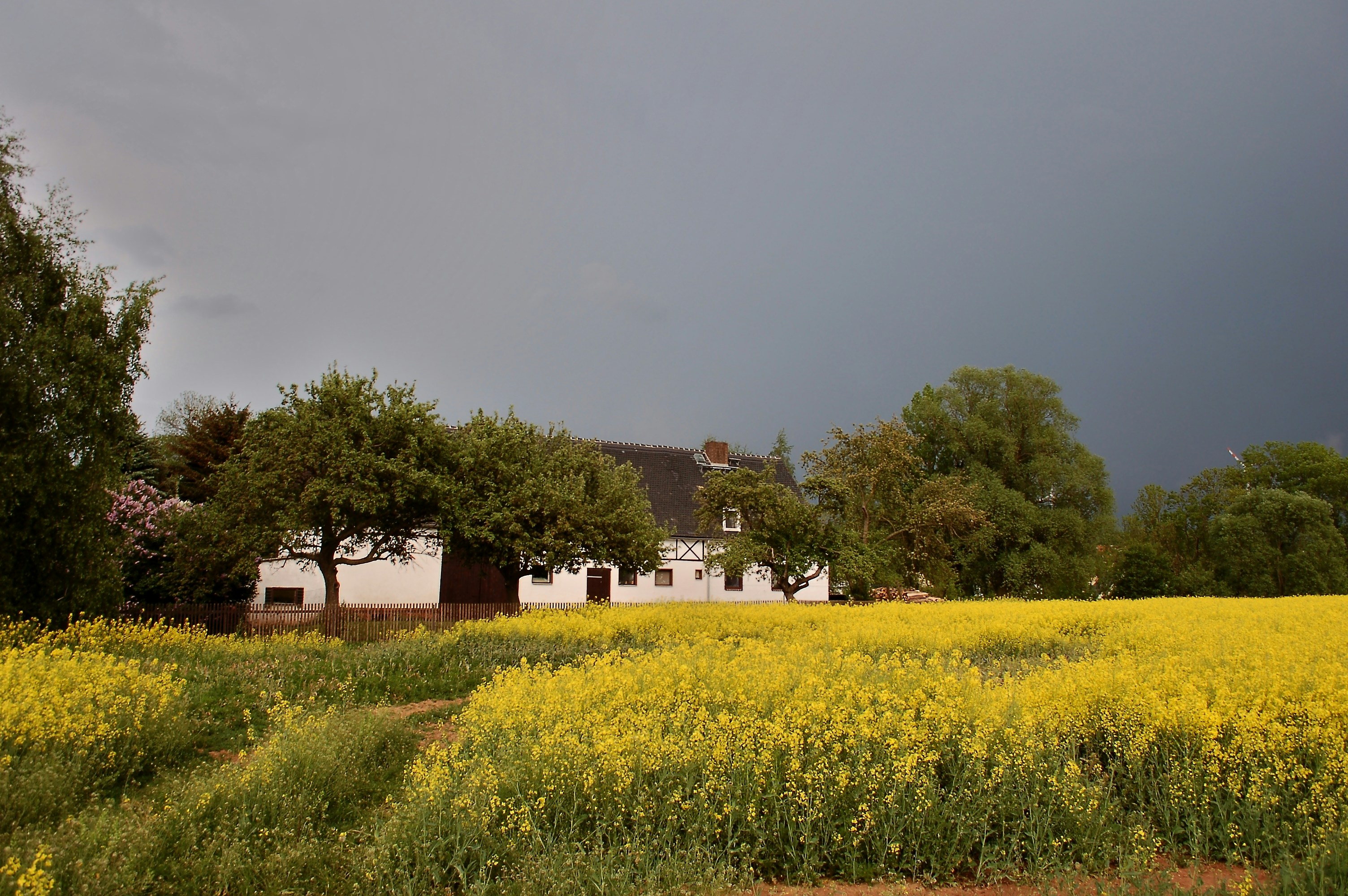 Photo by nikodemus777