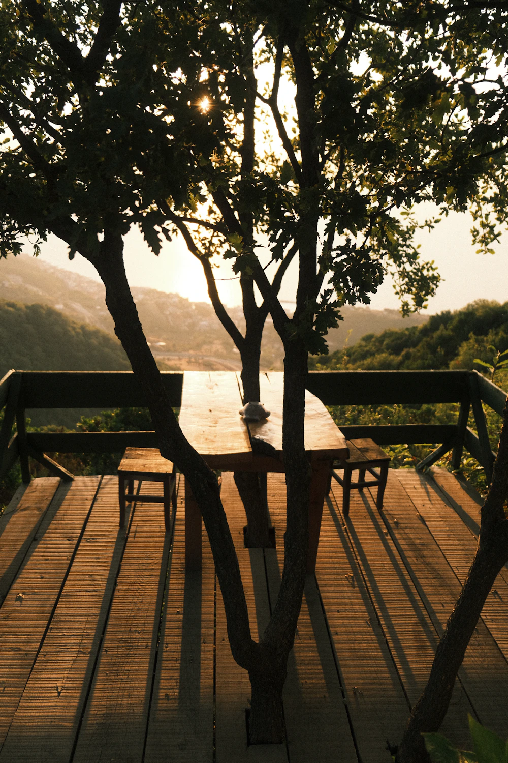 Lounge chair under a tree by the water
