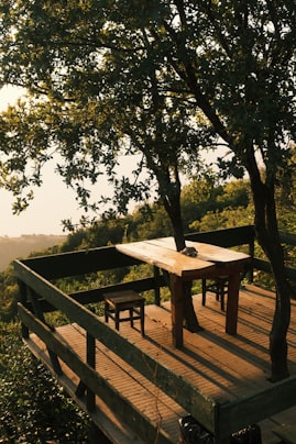 A private deck above the treeline at golden hour