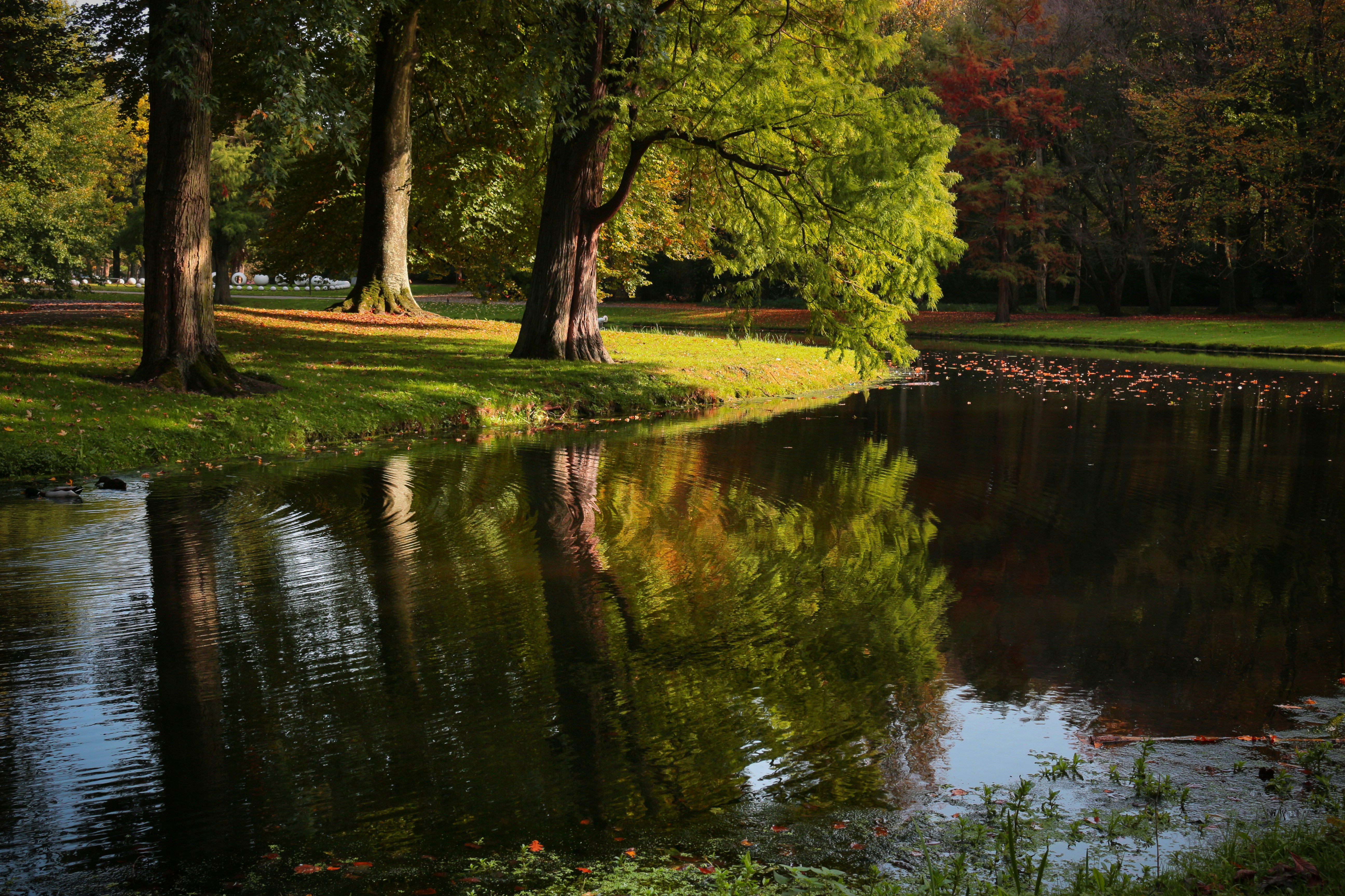 Photo by miloslopusina