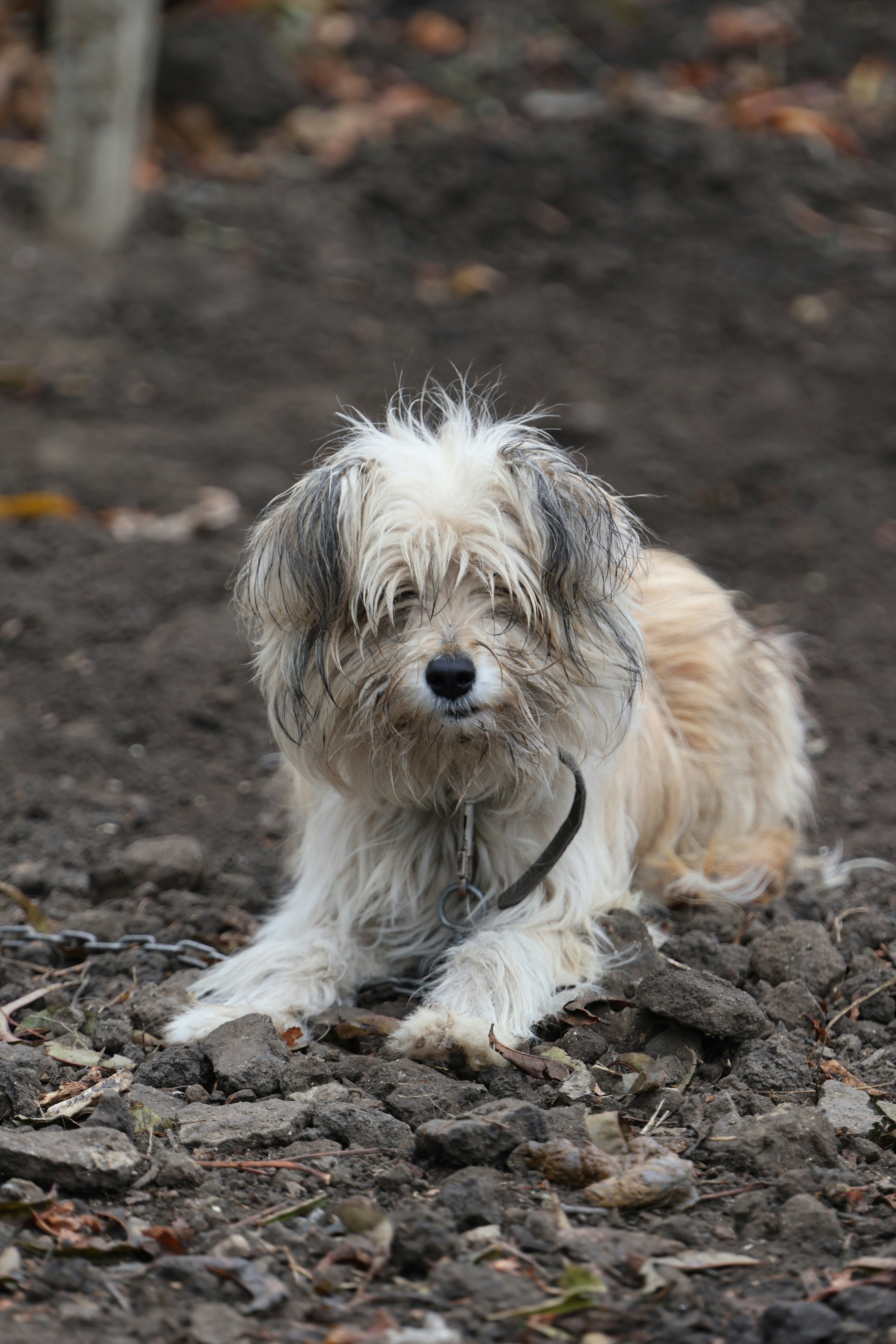 Photo by doinagavrilov