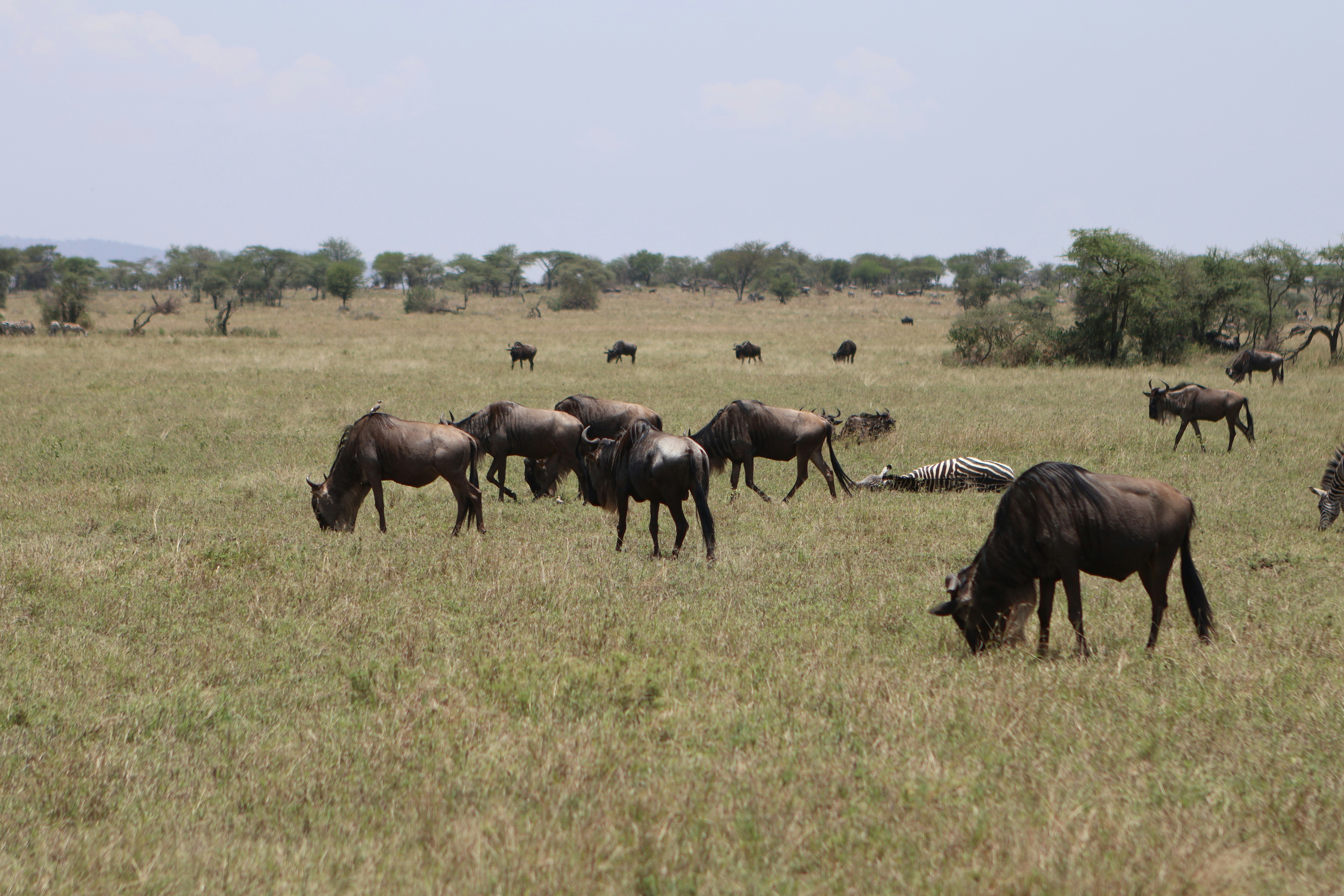 Photo by doinagavrilov