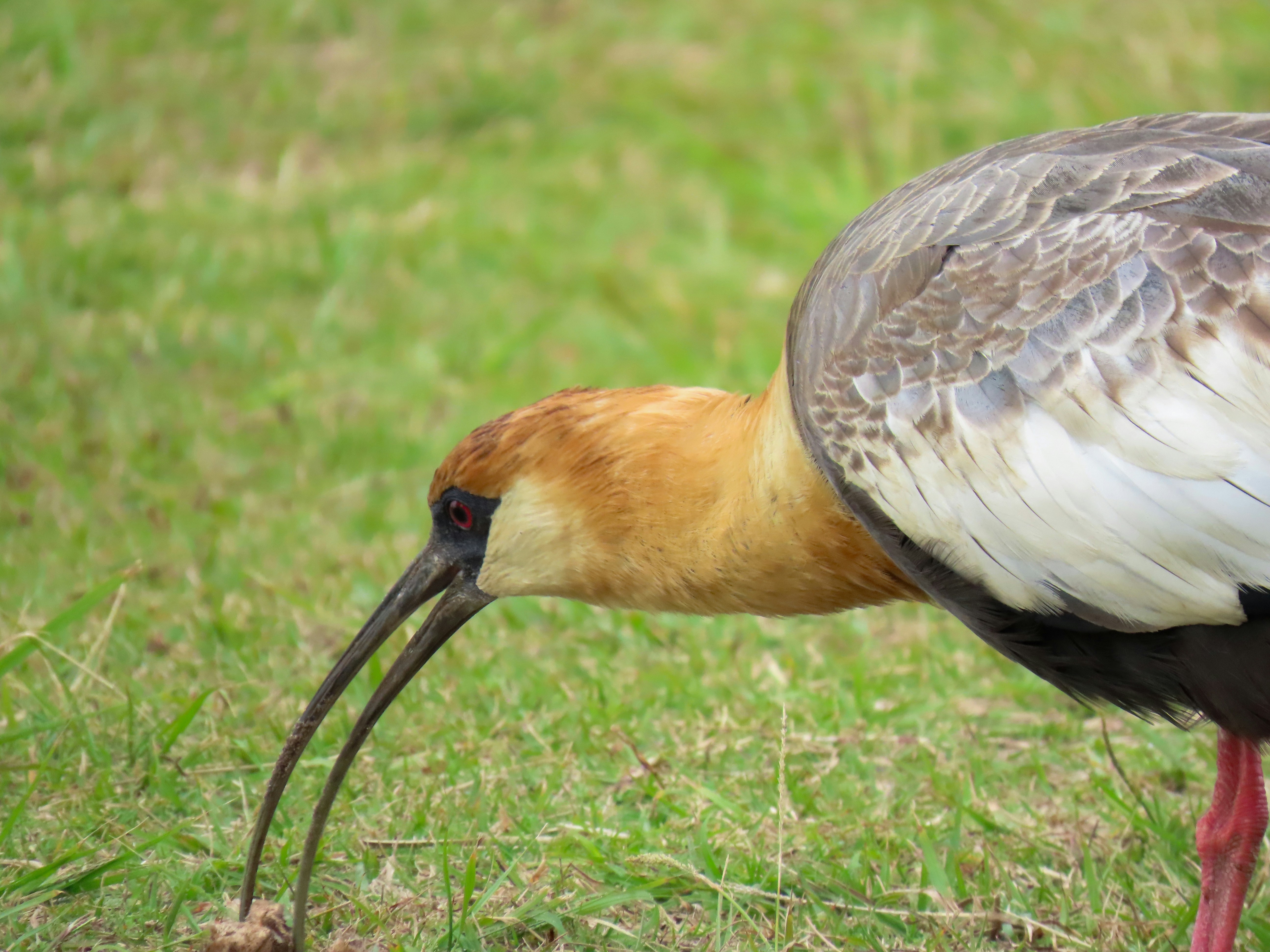 Photo by patricianicoloso