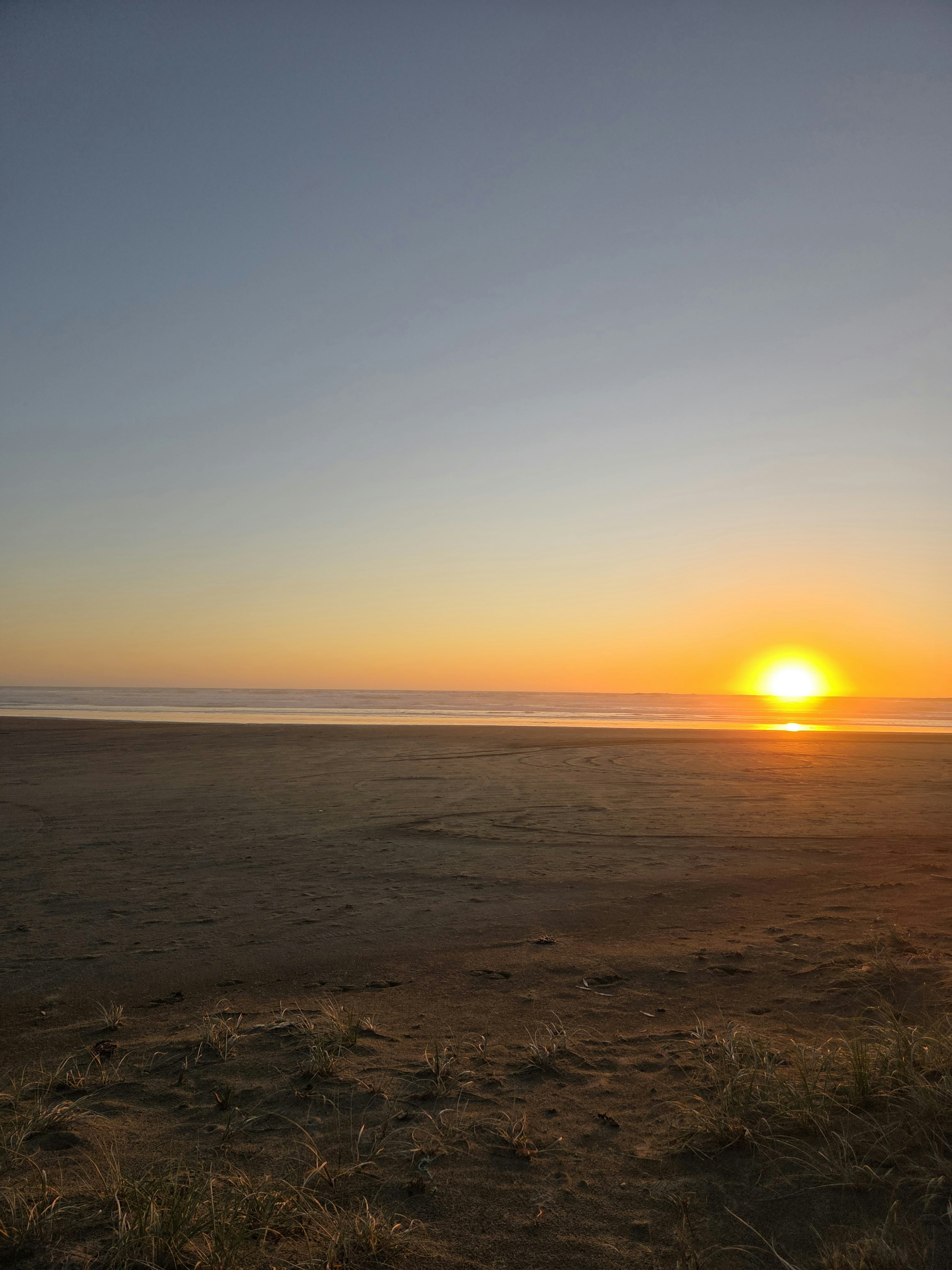 photo-1763679511382-2abf6cc53168?fm=jpg&q=60&w=3000&ixlib=rb-4.1.0&ixid=M3wxMjA3fDB8MHxwaG90by1wYWdlfHx8fGVufDB8fHx8fA%3D%3D