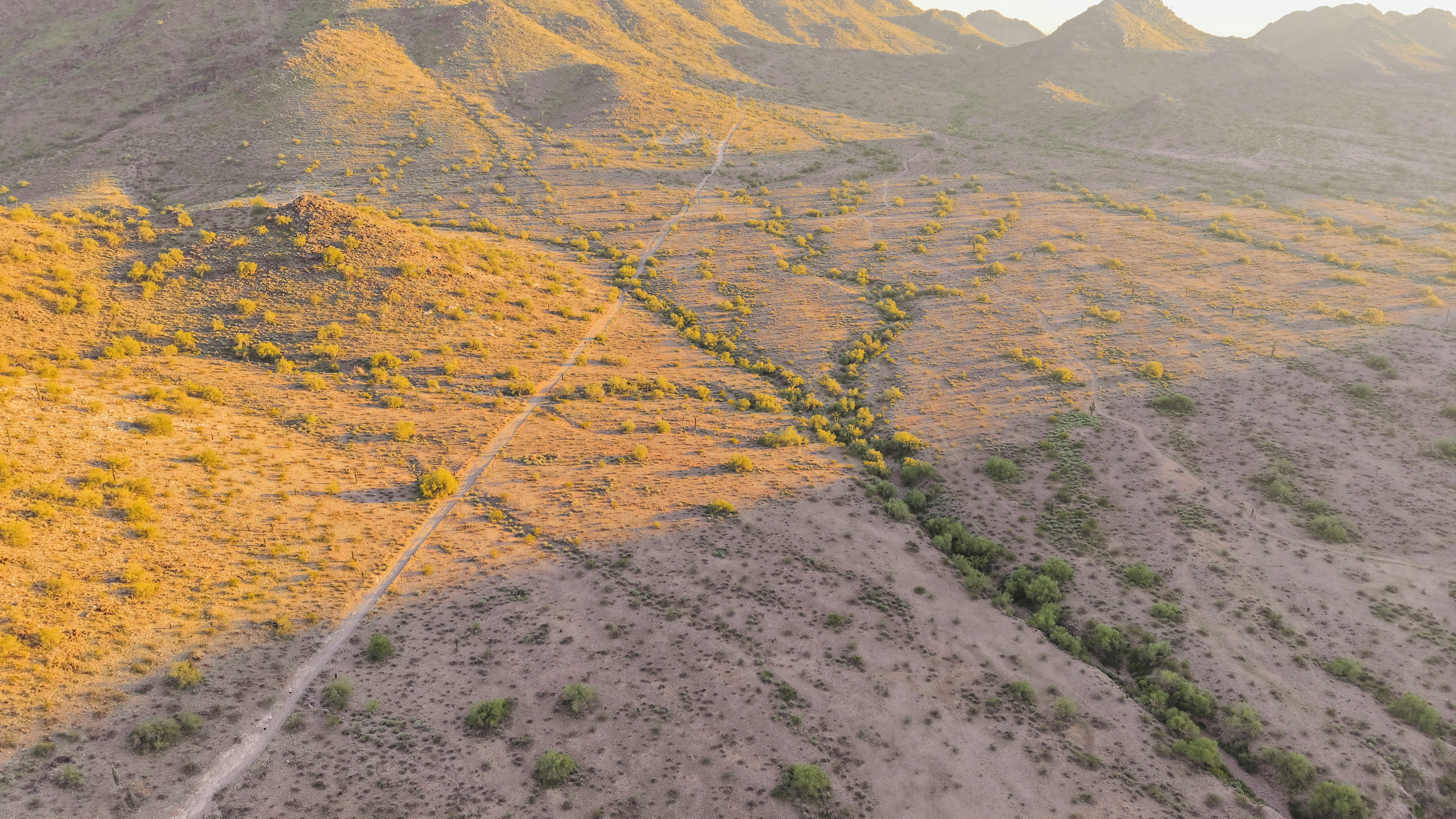 Photo by christheisland