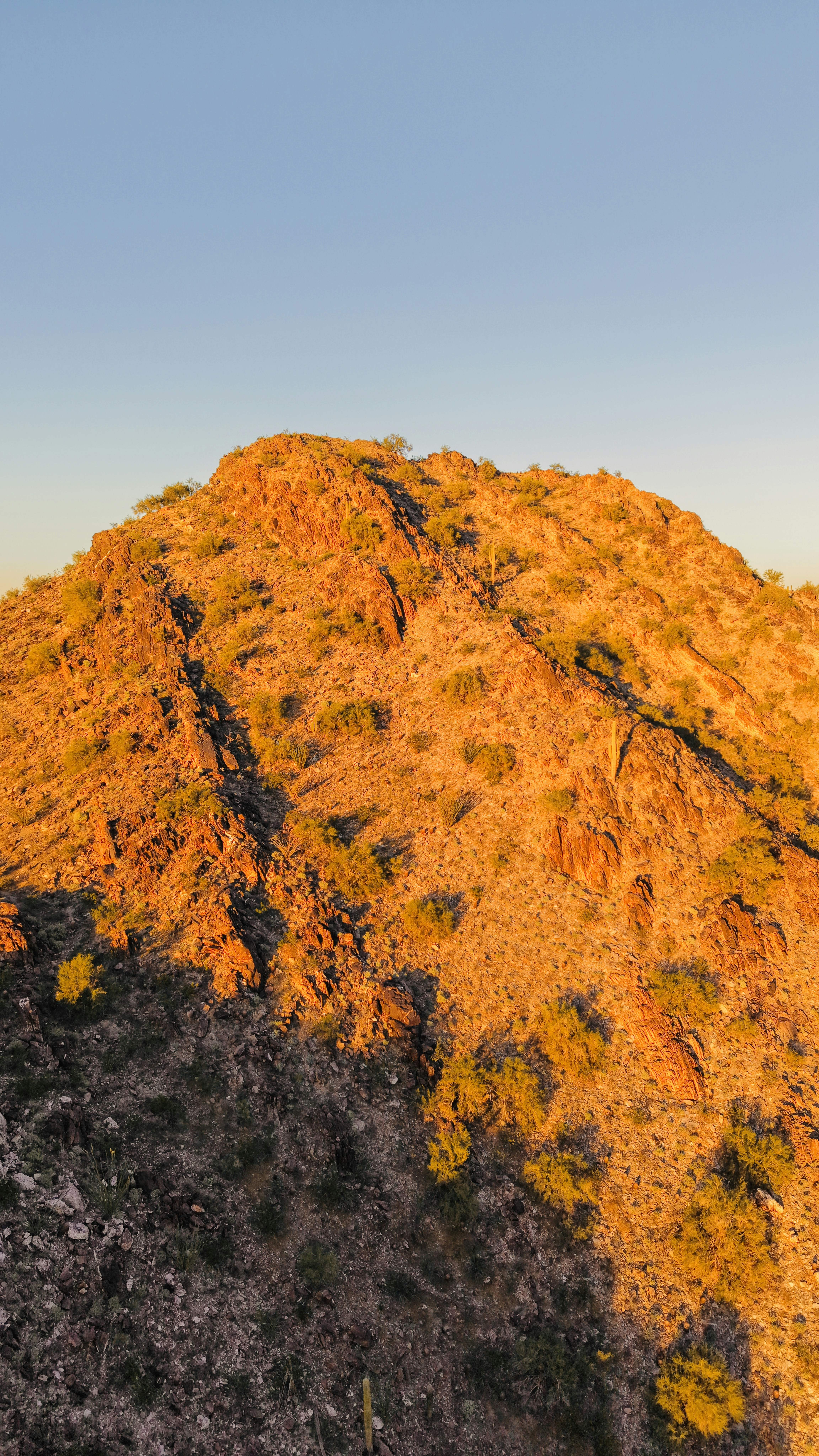 Photo by christheisland