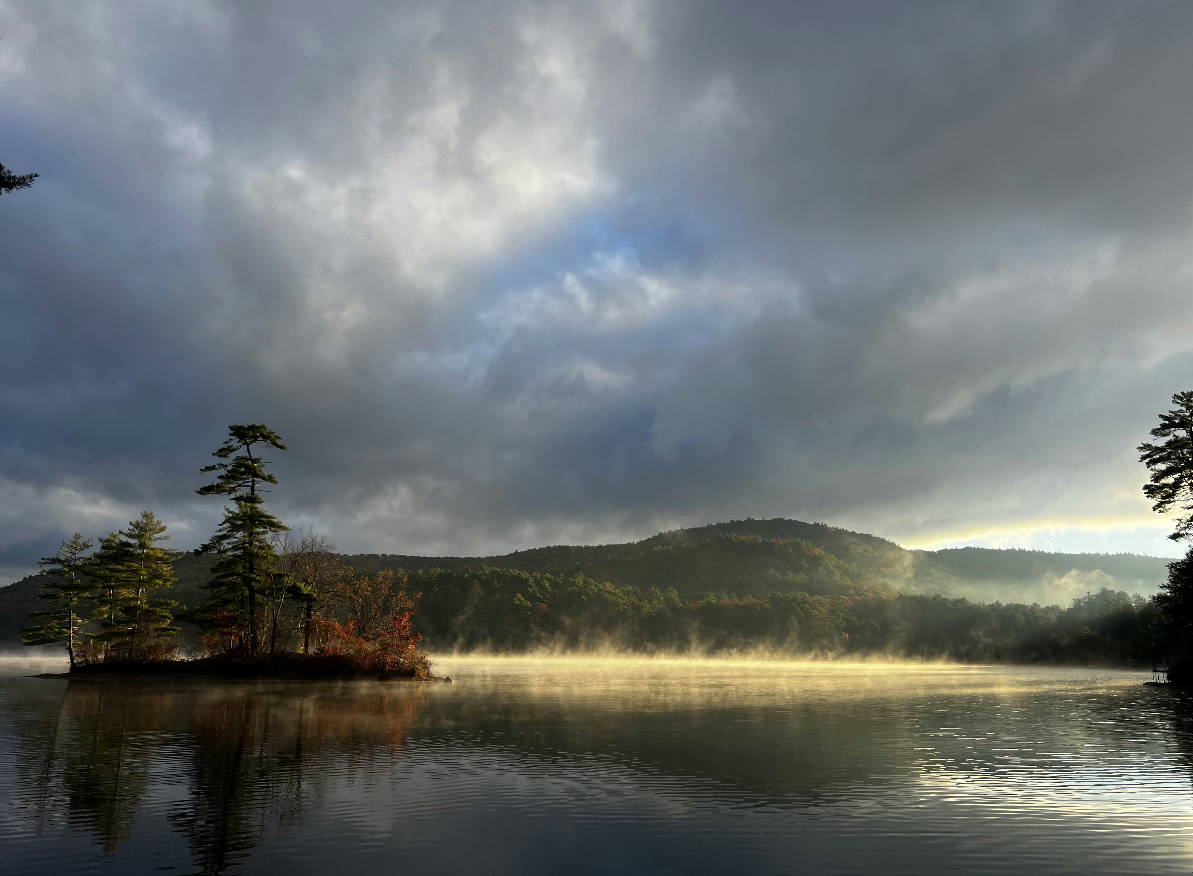 Photo by madelinedale