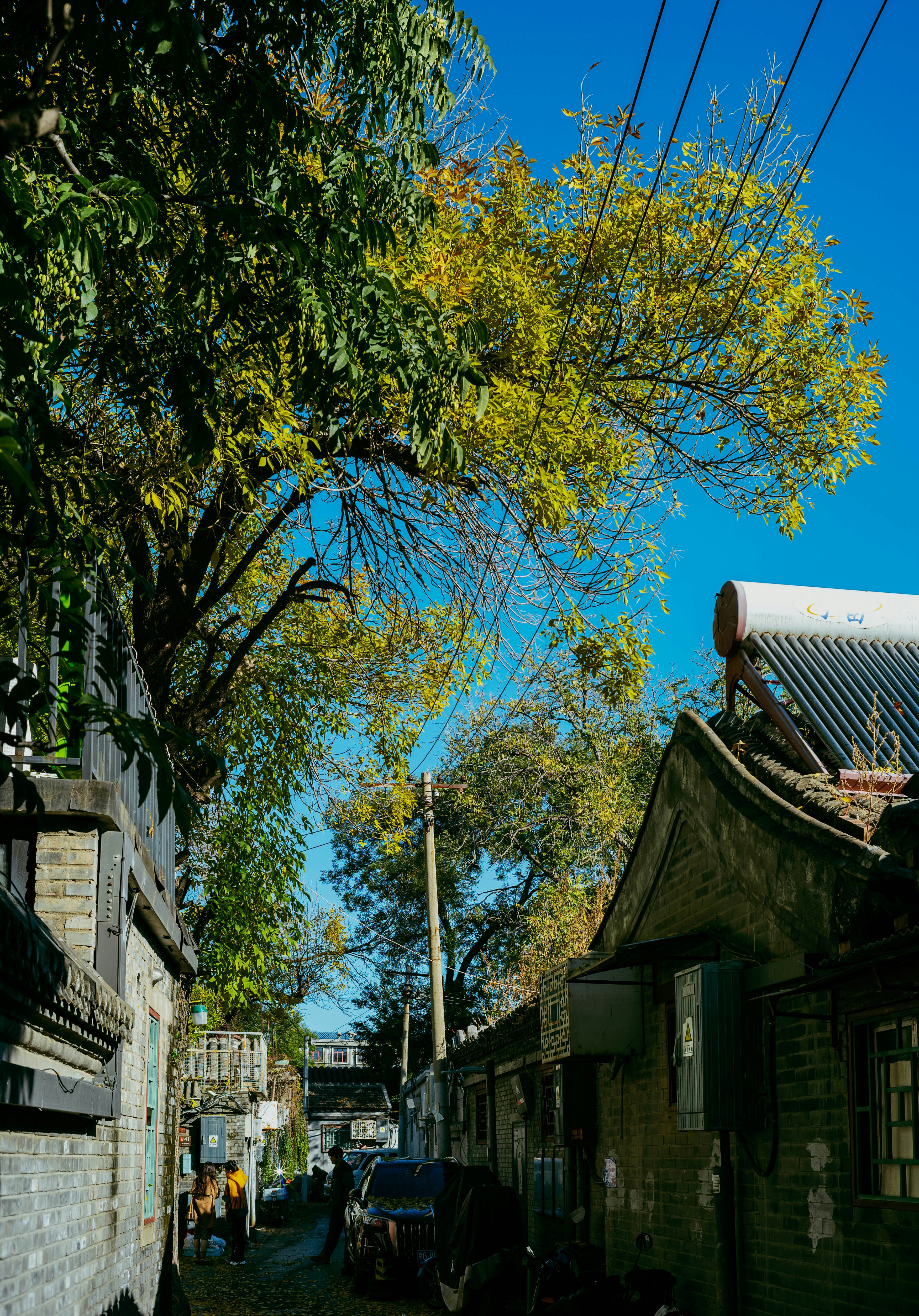 Photo by tommaomaoer