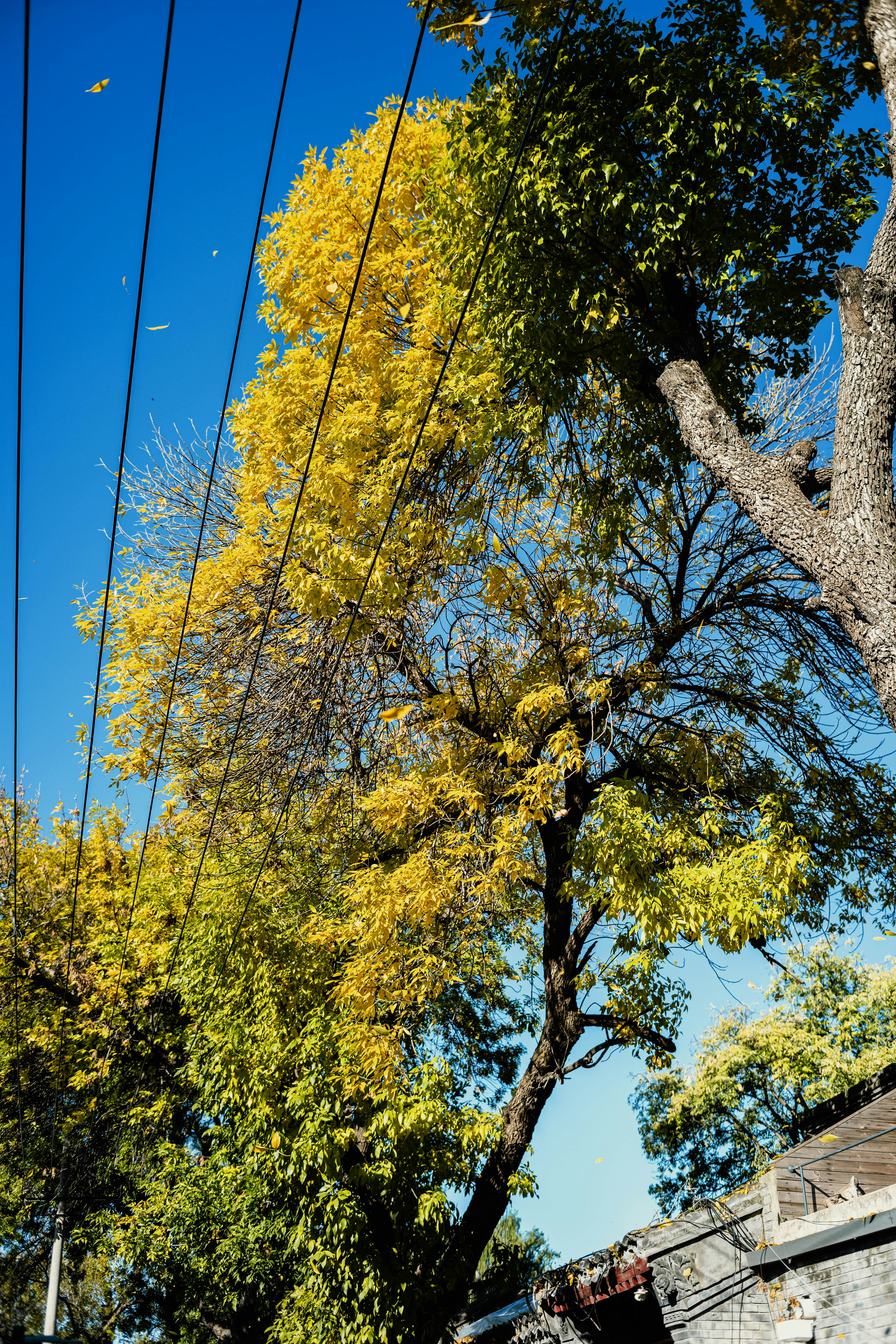 Photo by tommaomaoer