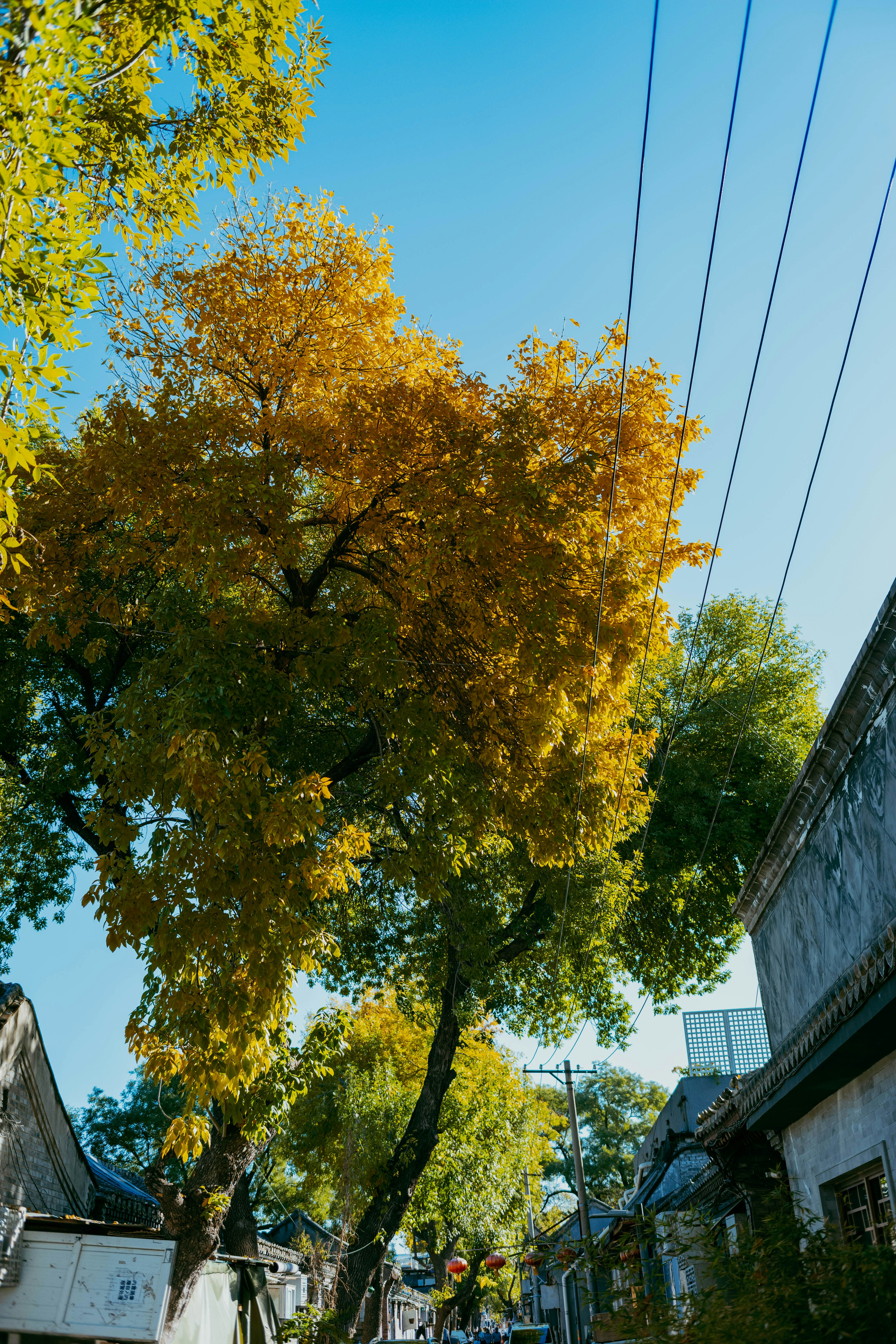 Photo by tommaomaoer