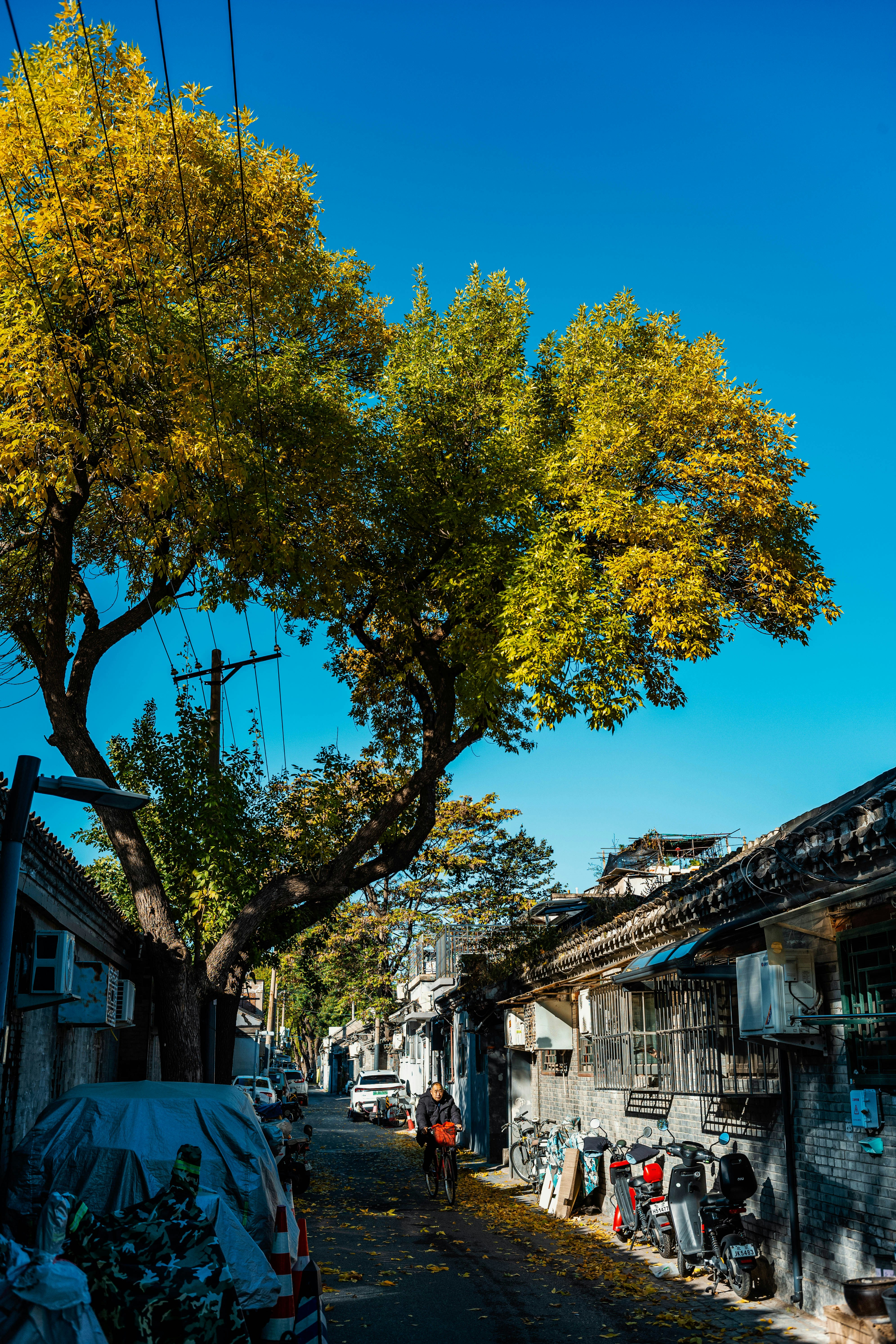 Photo by tommaomaoer