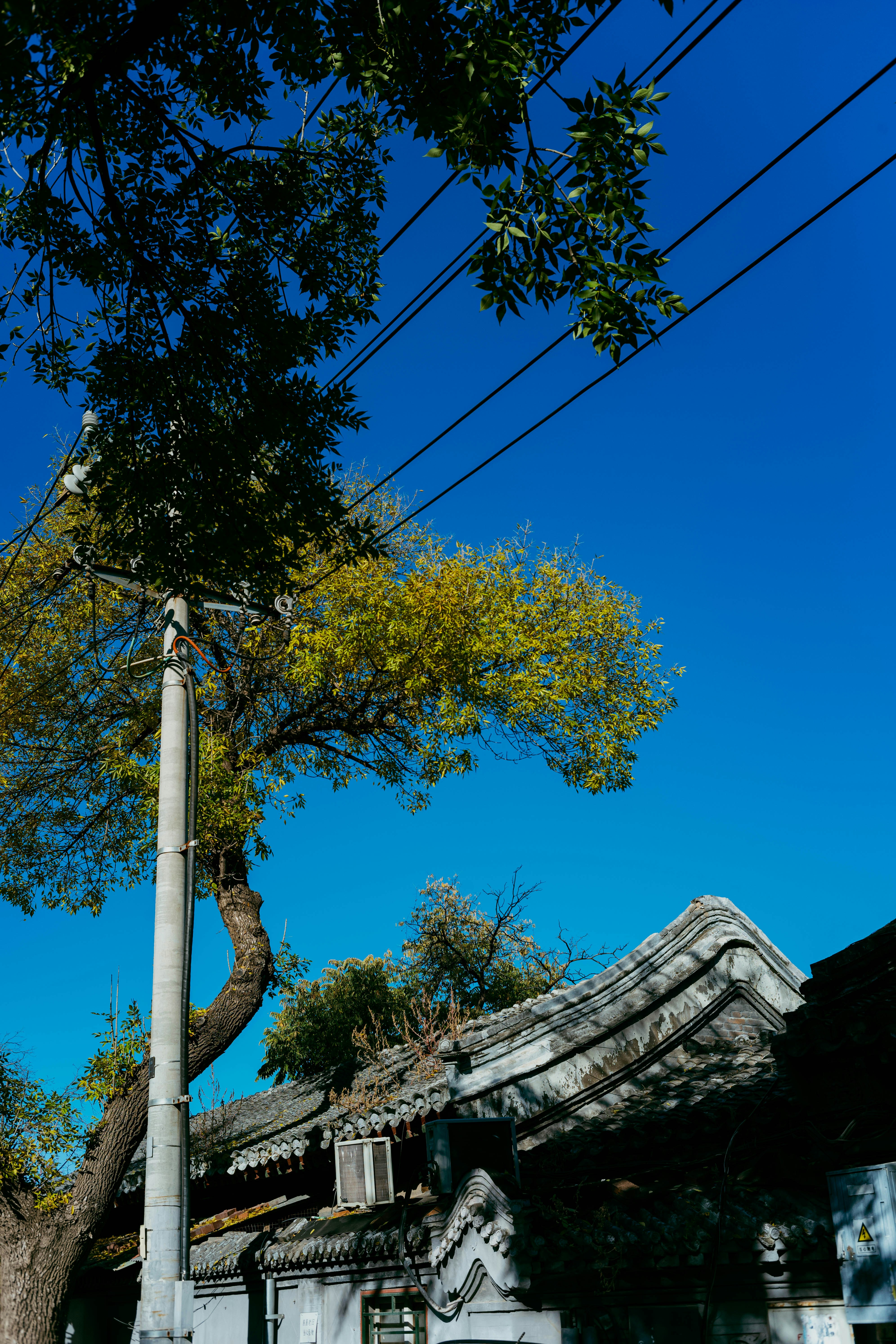 Photo by tommaomaoer