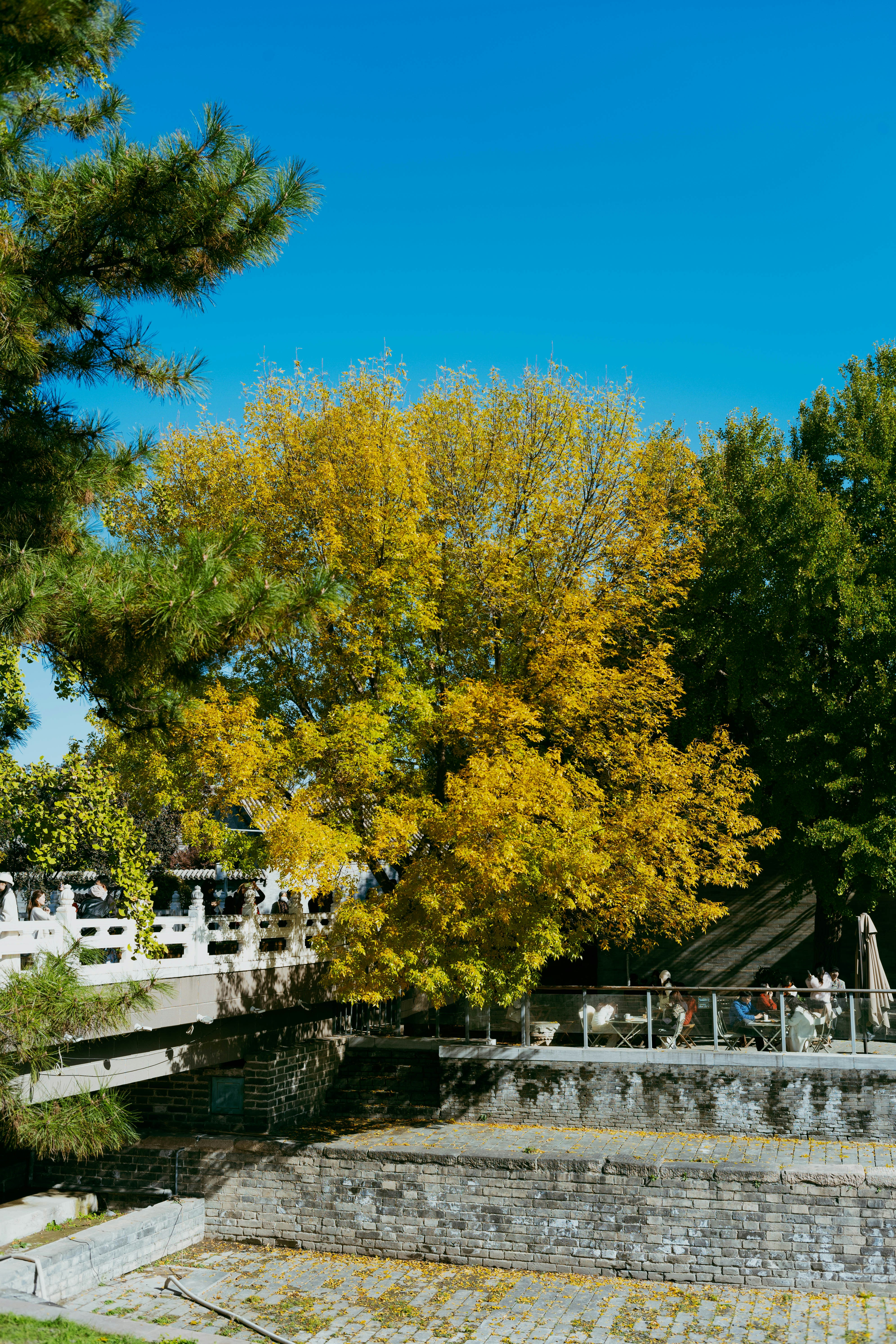 Photo by tommaomaoer